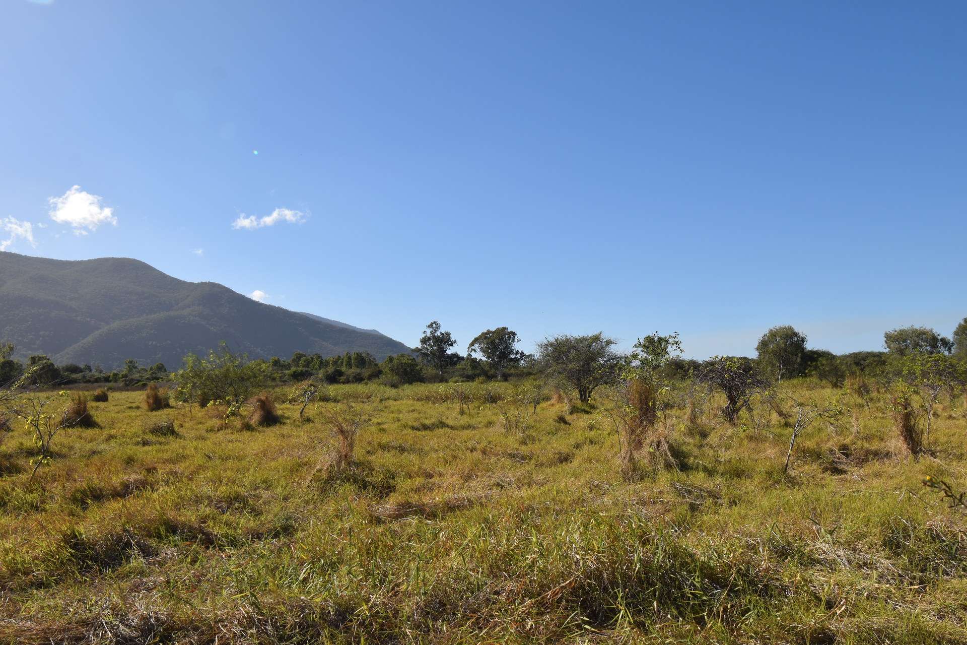 67 Maconachies Road, Majors Creek Auction by Farmbuy.com - image 13