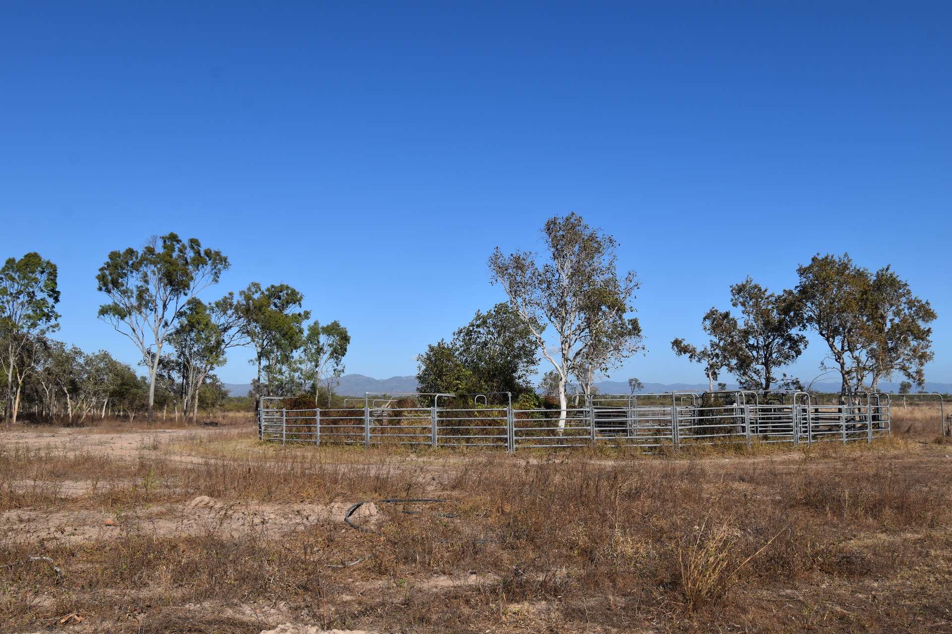 67 Maconachies Road, Majors Creek Auction by Farmbuy.com - image 7