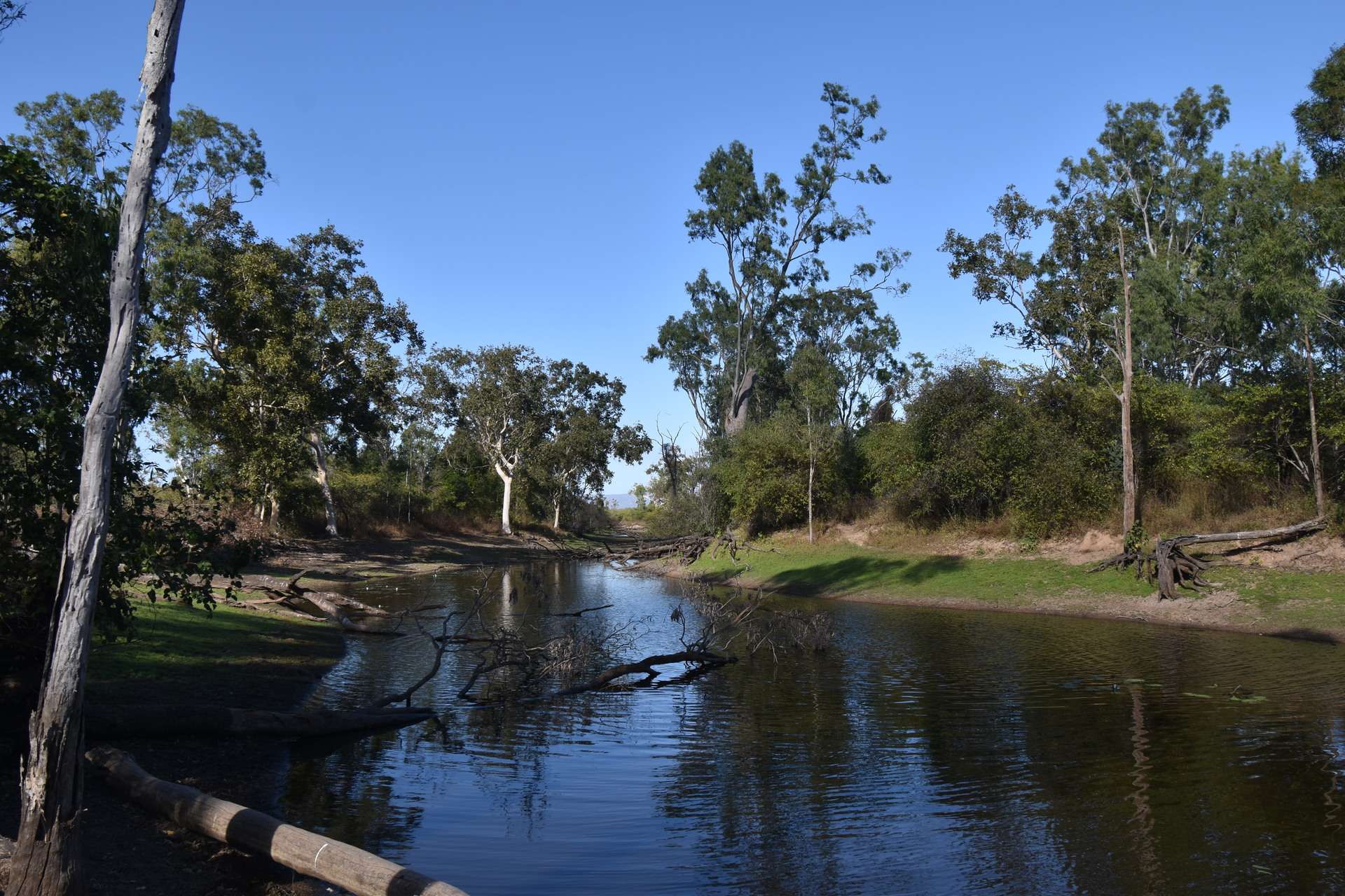 67 Maconachies Road, Majors Creek Auction by Farmbuy.com - image 11