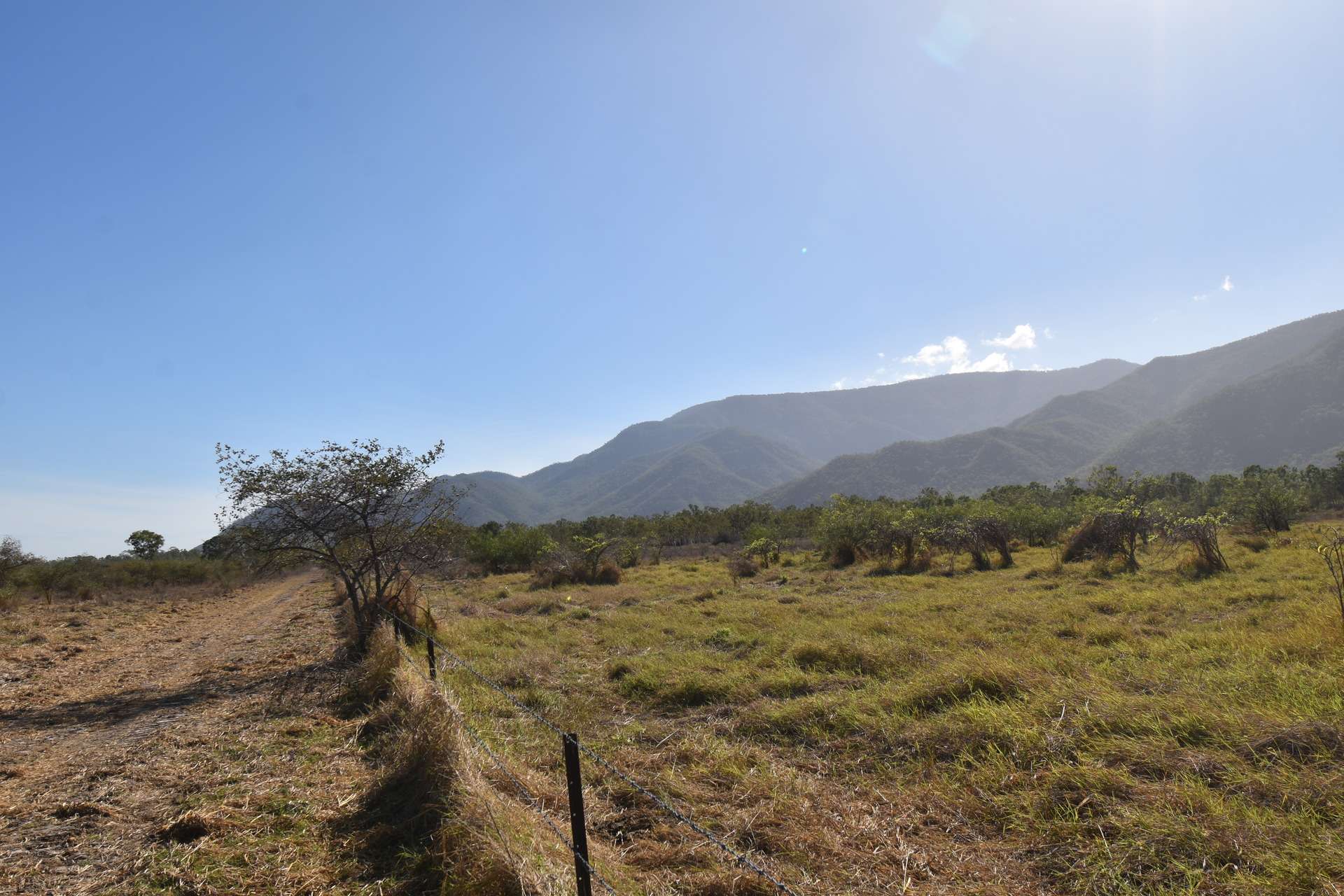 67 Maconachies Road, Majors Creek Auction by Farmbuy.com - image 14