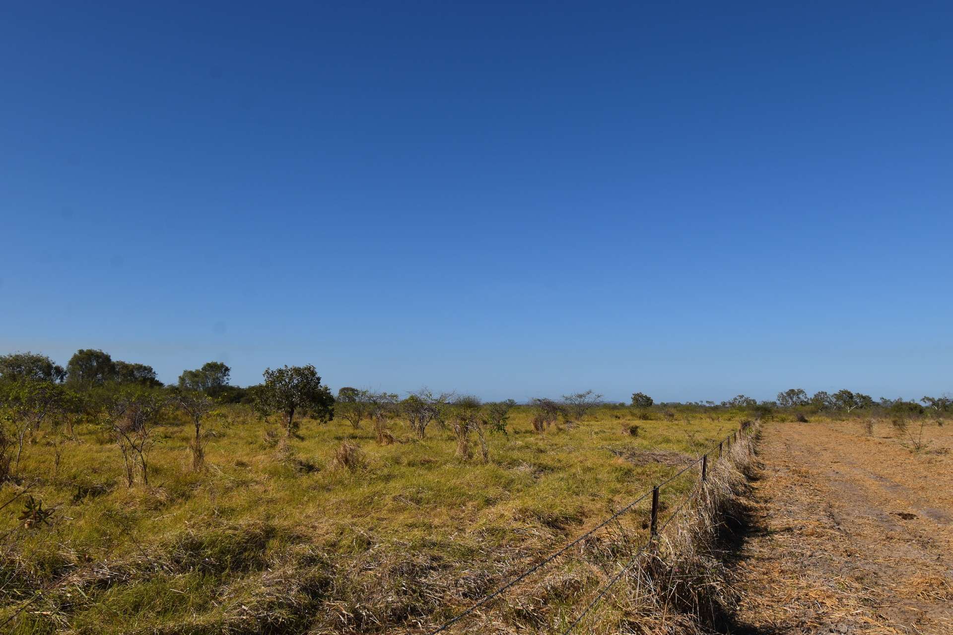 67 Maconachies Road, Majors Creek Auction by Farmbuy.com - image 15