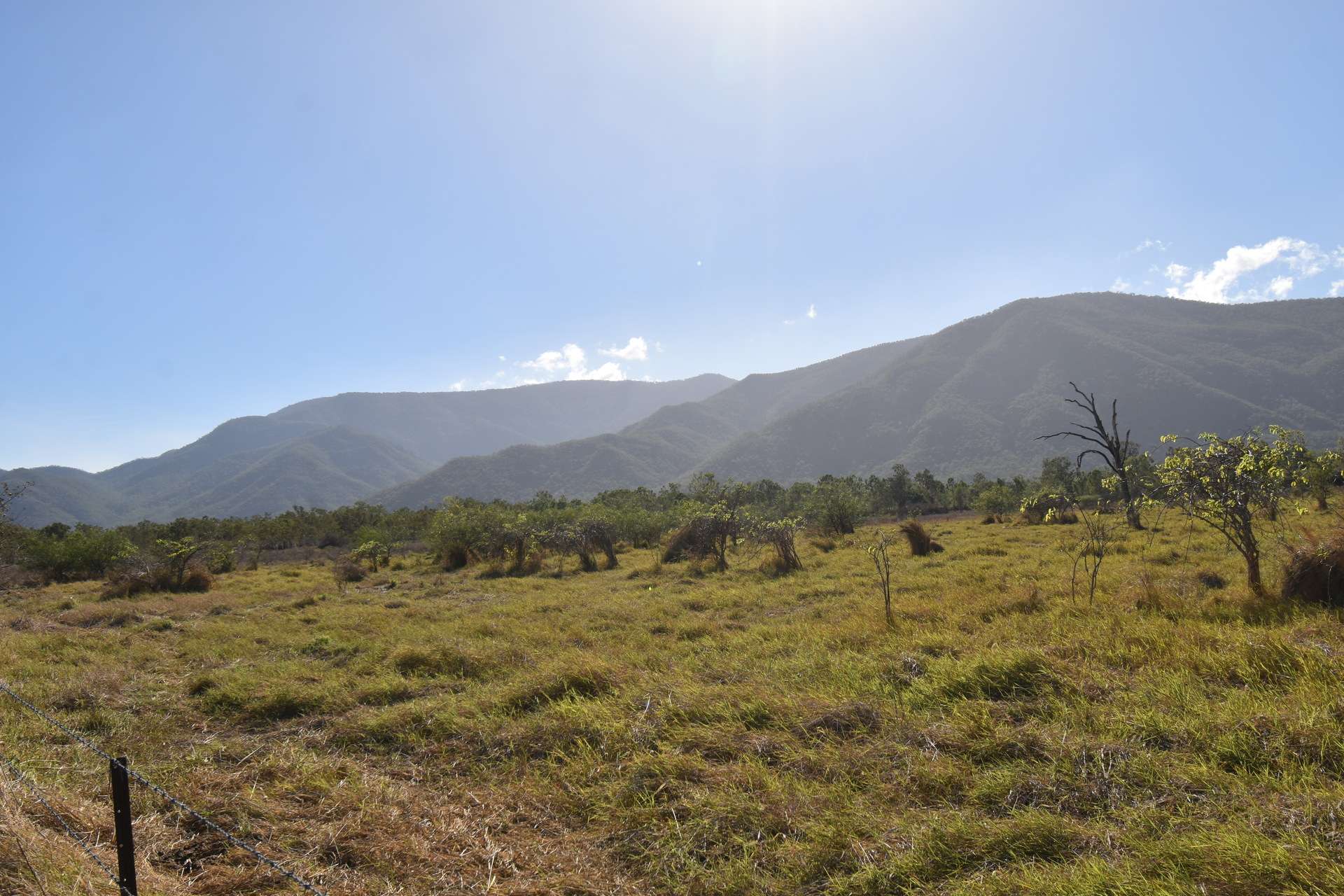67 Maconachies Road, Majors Creek Auction by Farmbuy.com - image 12