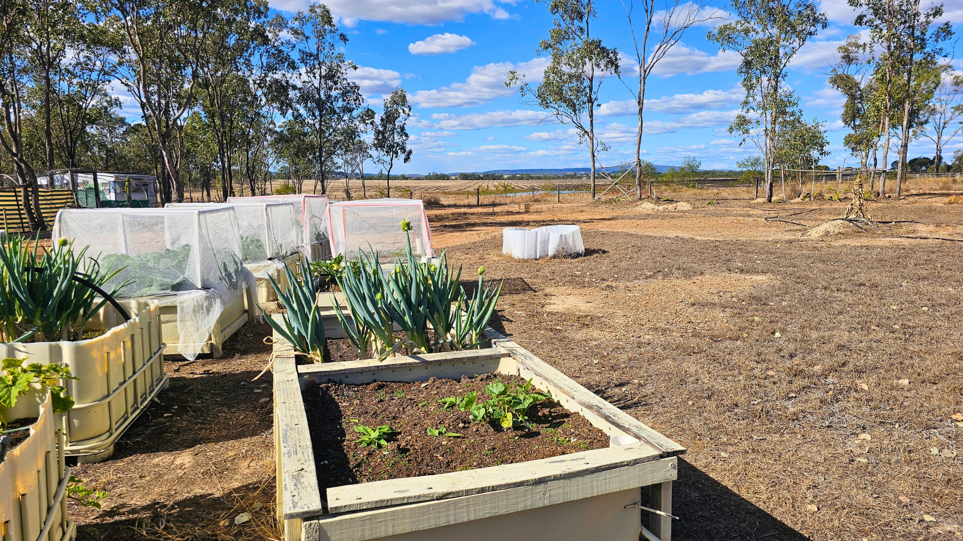 17 John Street, Wetheron For Sale by Farmbuy.com - image 11