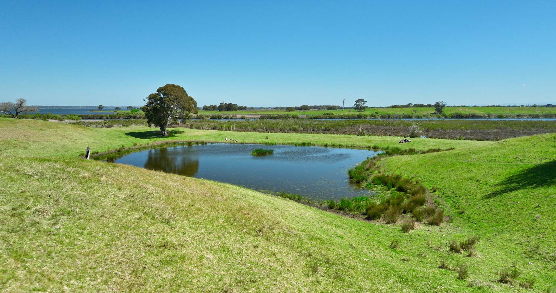 216 Lot6 Ellasville Road, Nicholson For Sale by Farmbuy.com - image 25