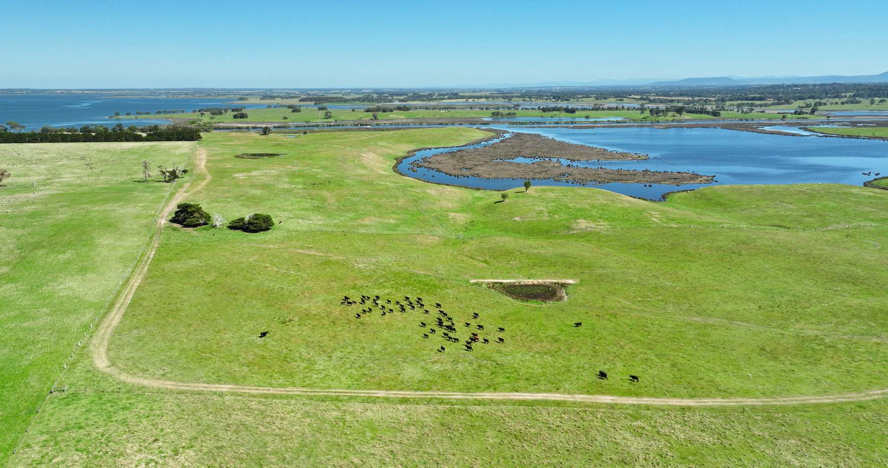 216 Lot6 Ellasville Road, Nicholson For Sale by Farmbuy.com - image 21