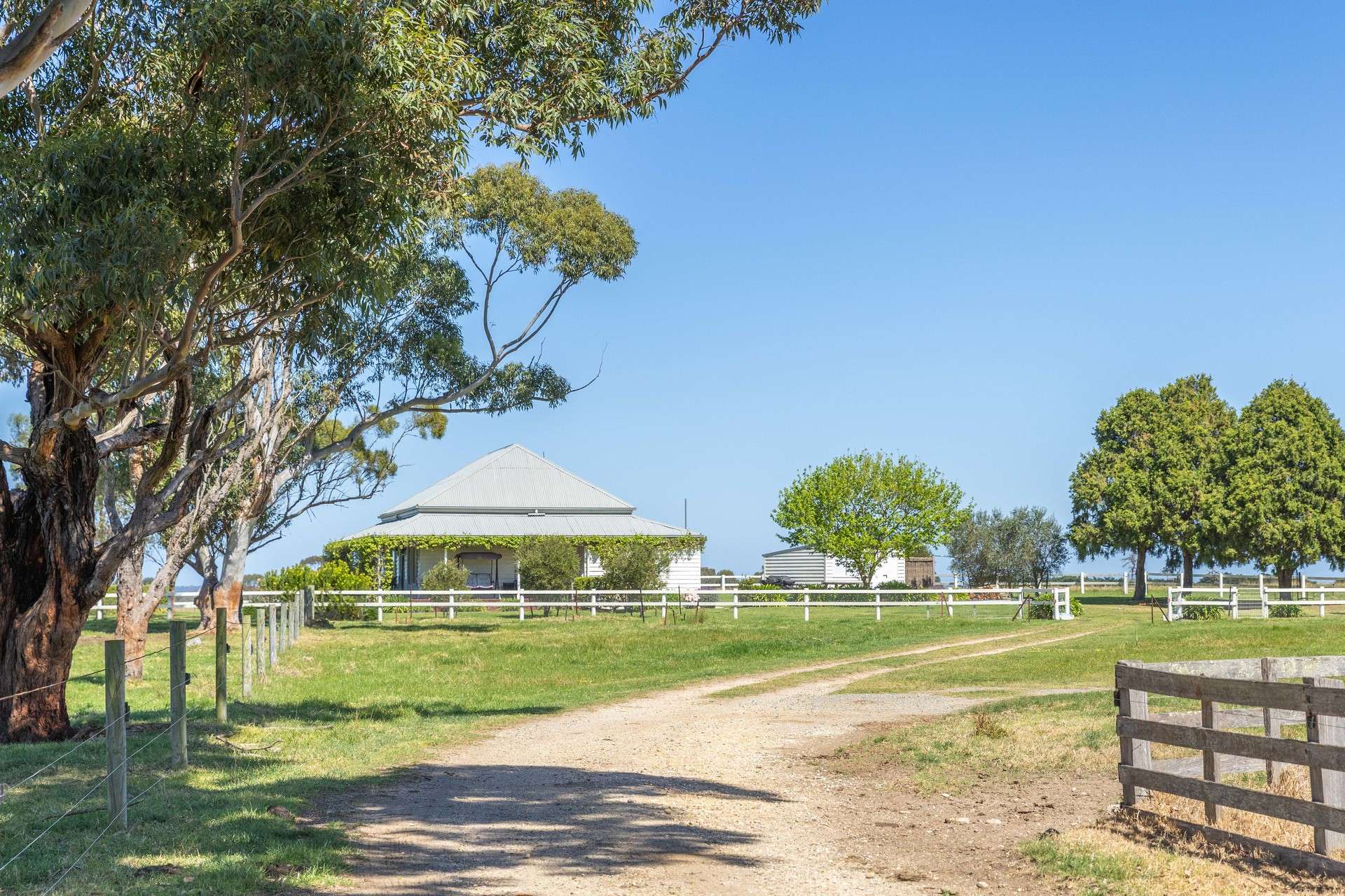 216 Lot6 Ellasville Road, Nicholson For Sale by Farmbuy.com - image 5