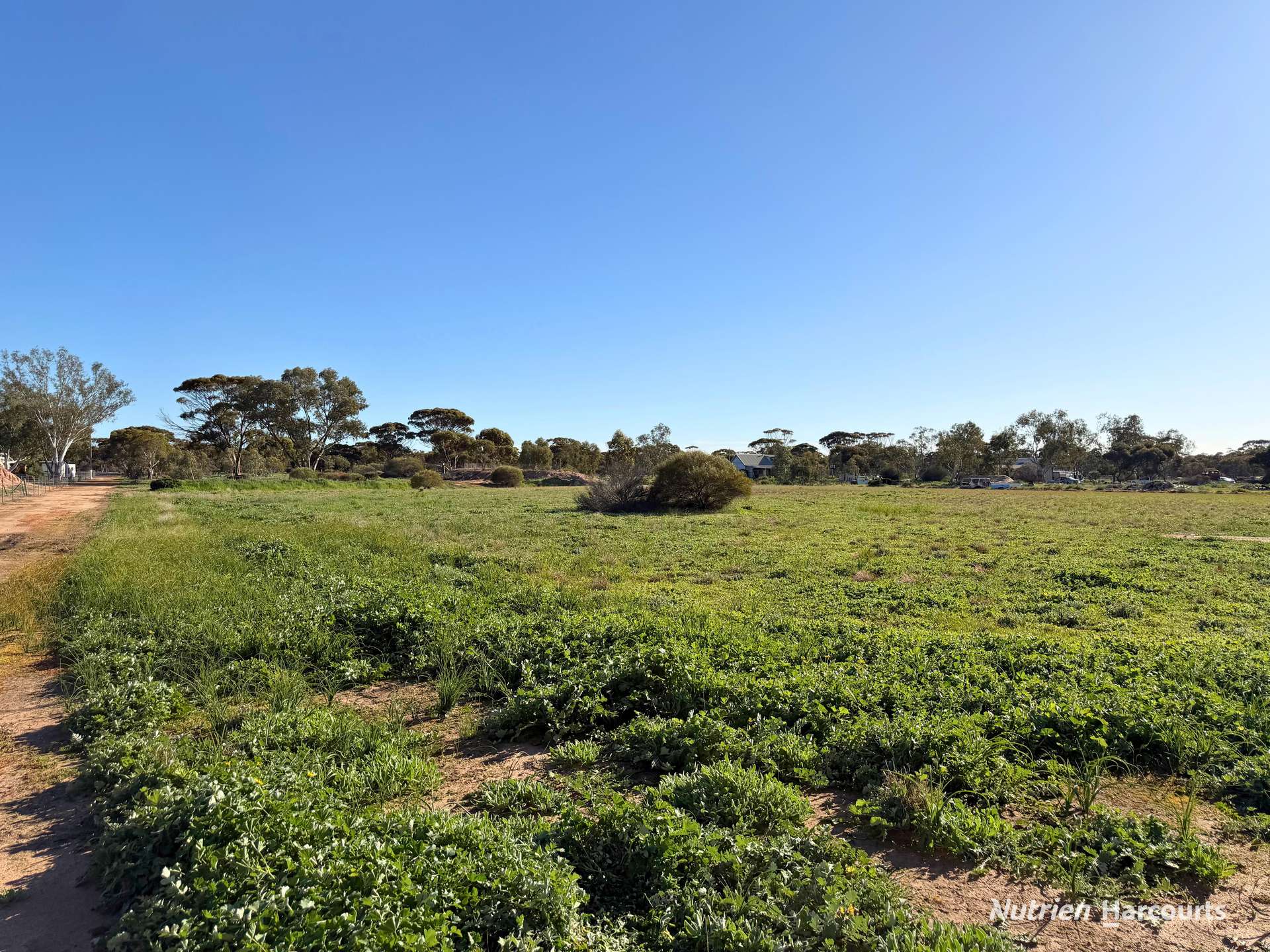 Lot 122 Parkes Street, Burracoppin For Sale by Farmbuy.com - image 4
