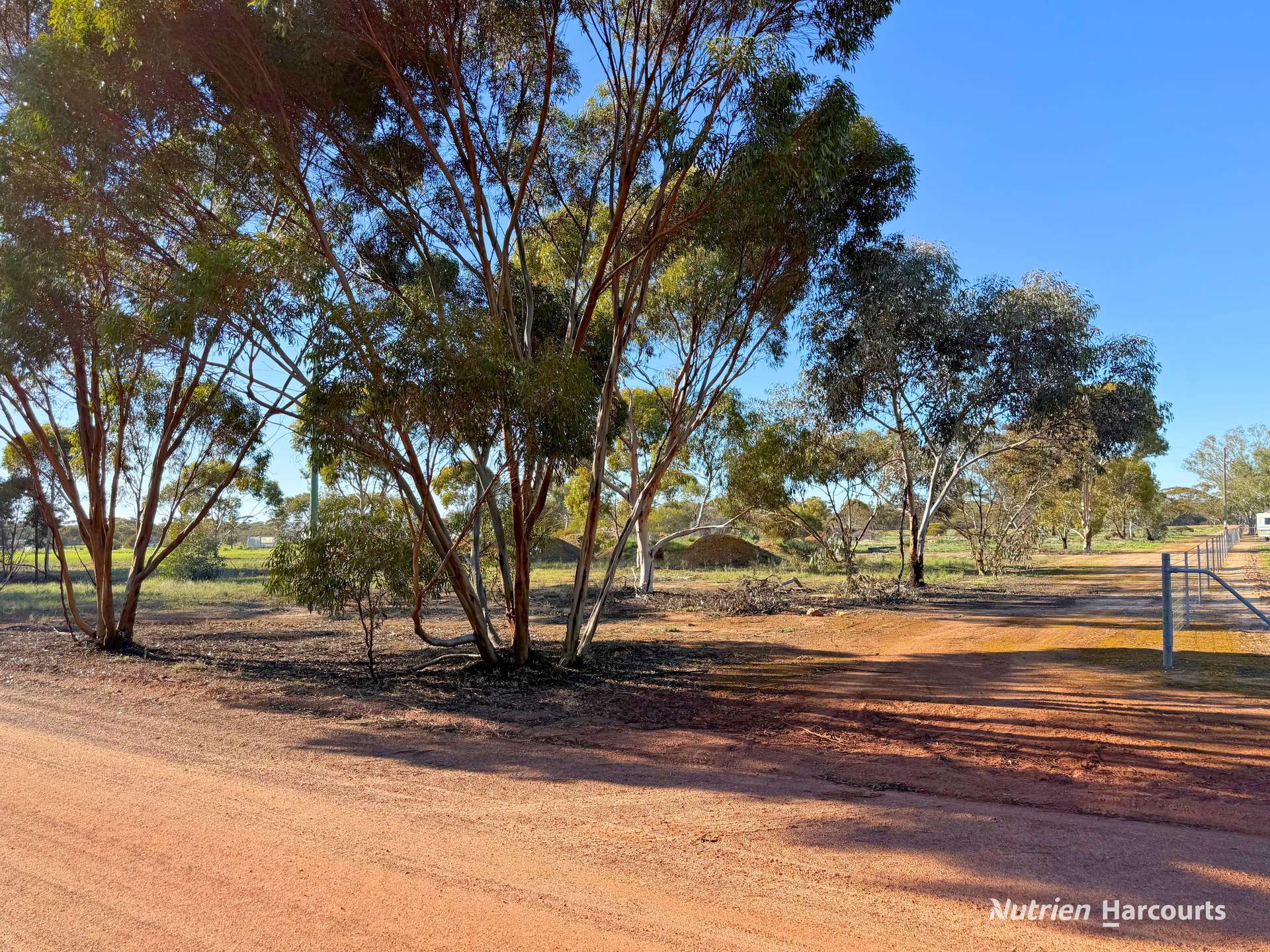 Lot 122 Parkes Street, Burracoppin For Sale by Farmbuy.com - image 3