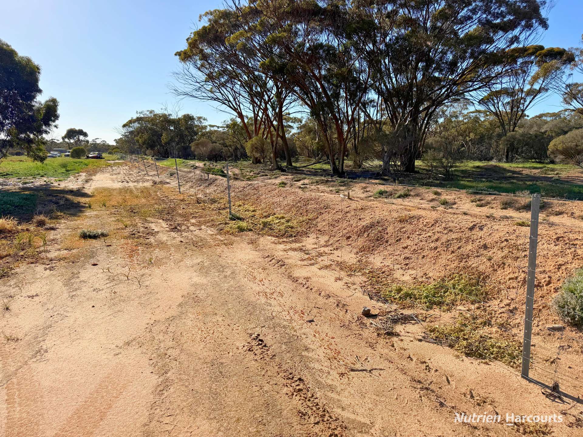 Lot 122 Parkes Street, Burracoppin For Sale by Farmbuy.com - image 8