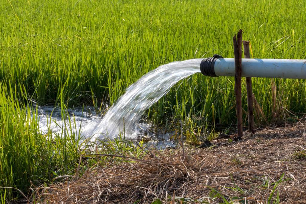 Lower Gwydir Bore Licence 12 Megalitres, Moree NSW 2400