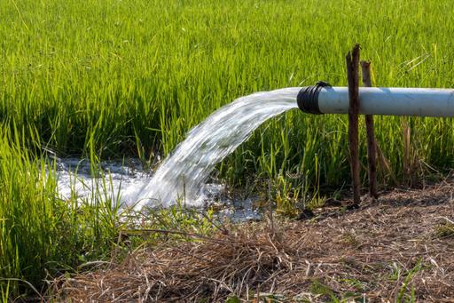 Lower Gwydir Bore Licence 12 Megalitres, Moree NSW 2400