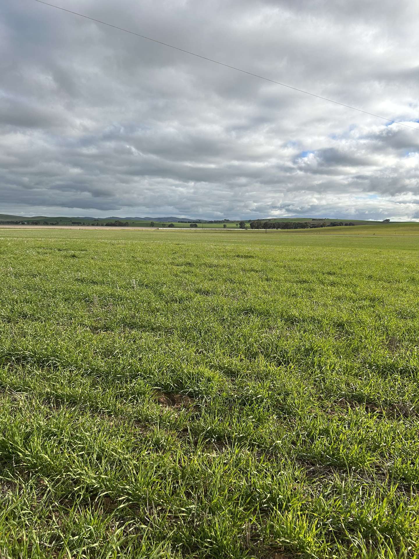 5456 Wilkins Highway, Jamestown For Sale by Farmbuy.com - image 7
