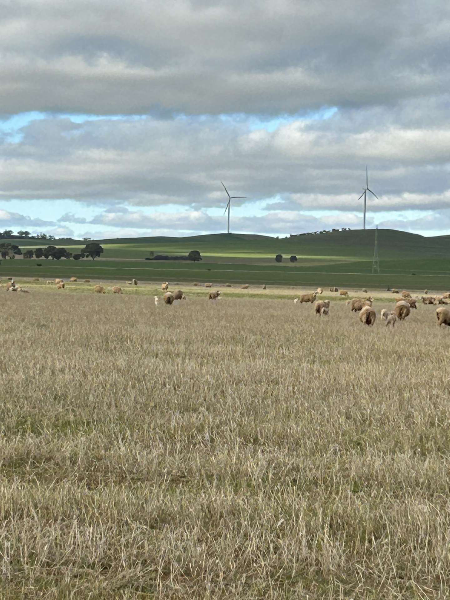 5456 Wilkins Highway, Jamestown For Sale by Farmbuy.com - image 8