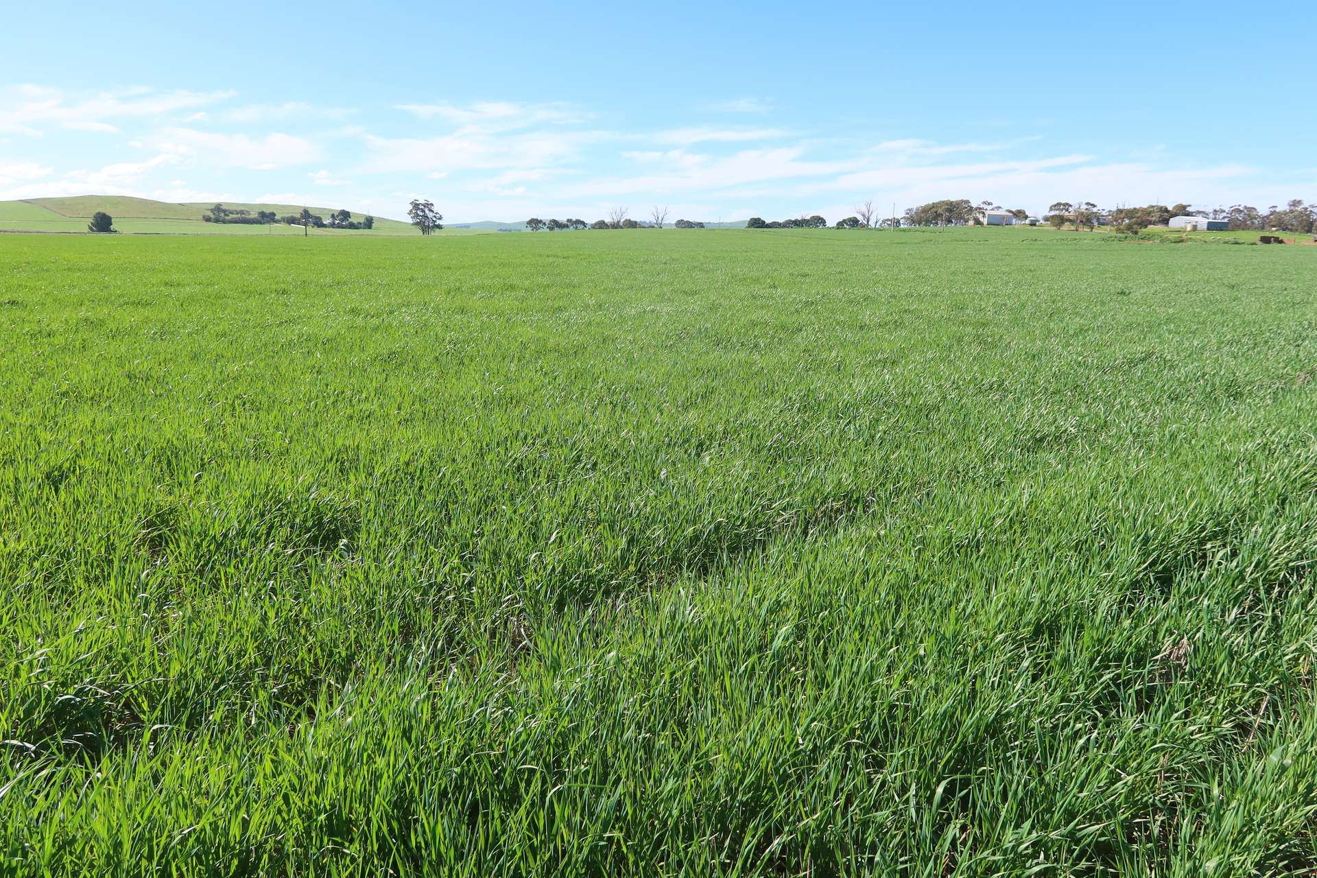 5456 Wilkins Highway, Jamestown For Sale by Farmbuy.com - image 2
