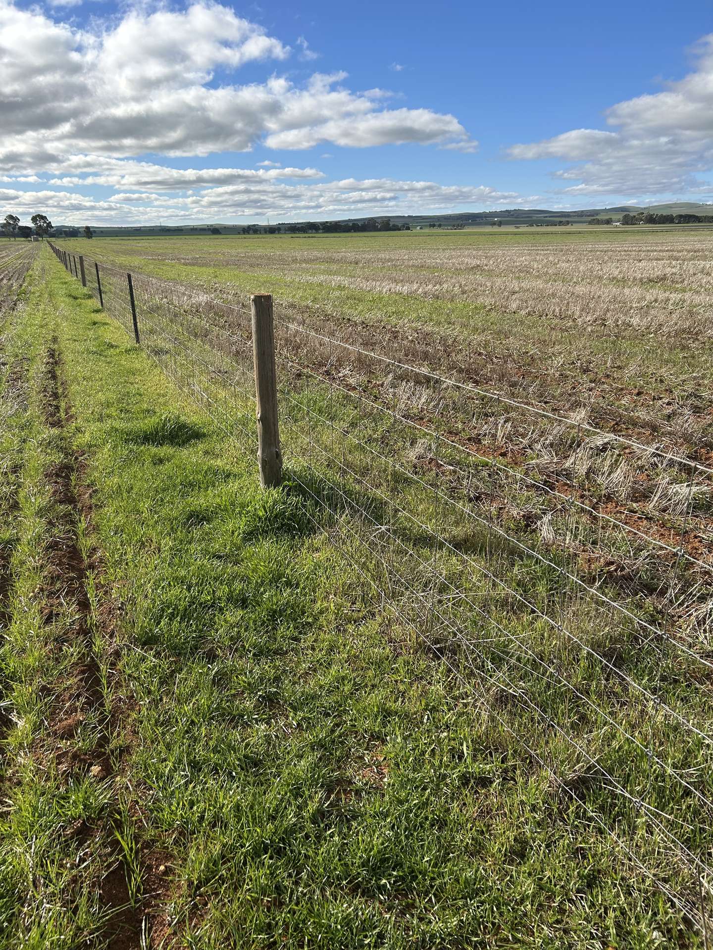 5456 Wilkins Highway, Jamestown For Sale by Farmbuy.com - image 4