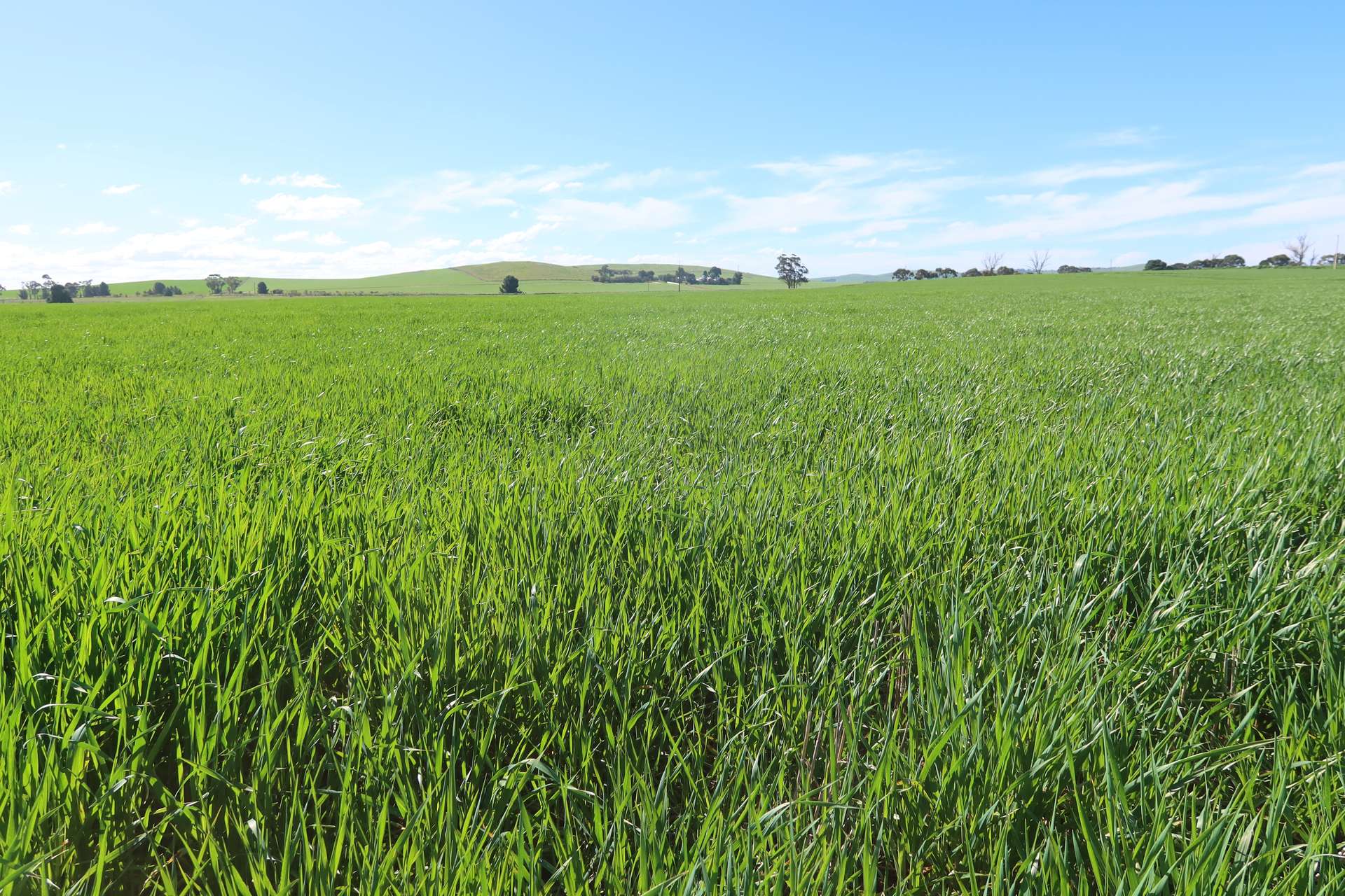 5456 Wilkins Highway, Jamestown For Sale by Farmbuy.com - image 1