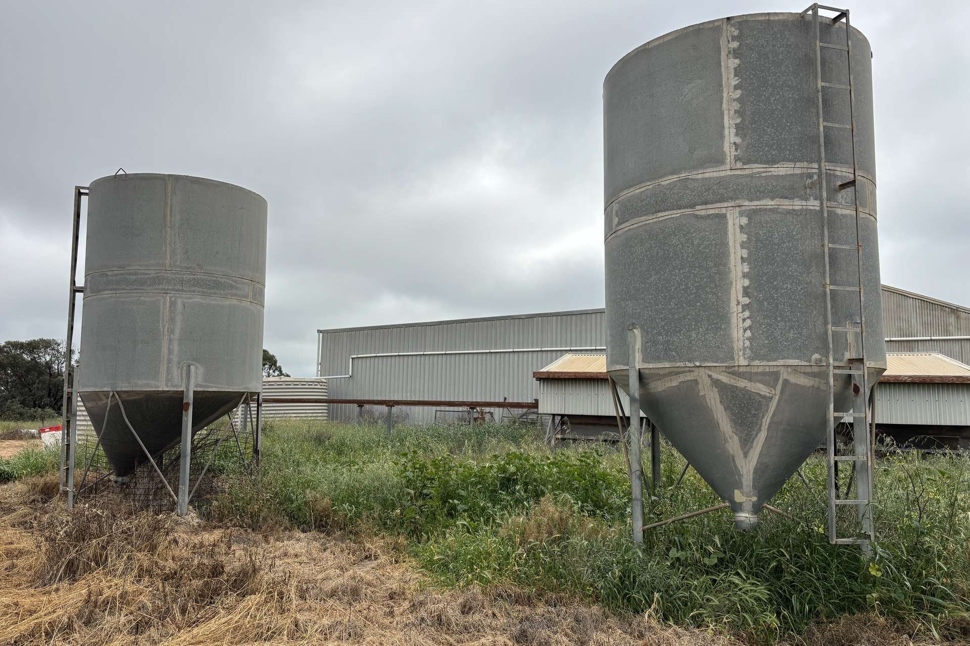 37981 Eyre Highway, Wirrulla For Sale by Farmbuy.com - image 13
