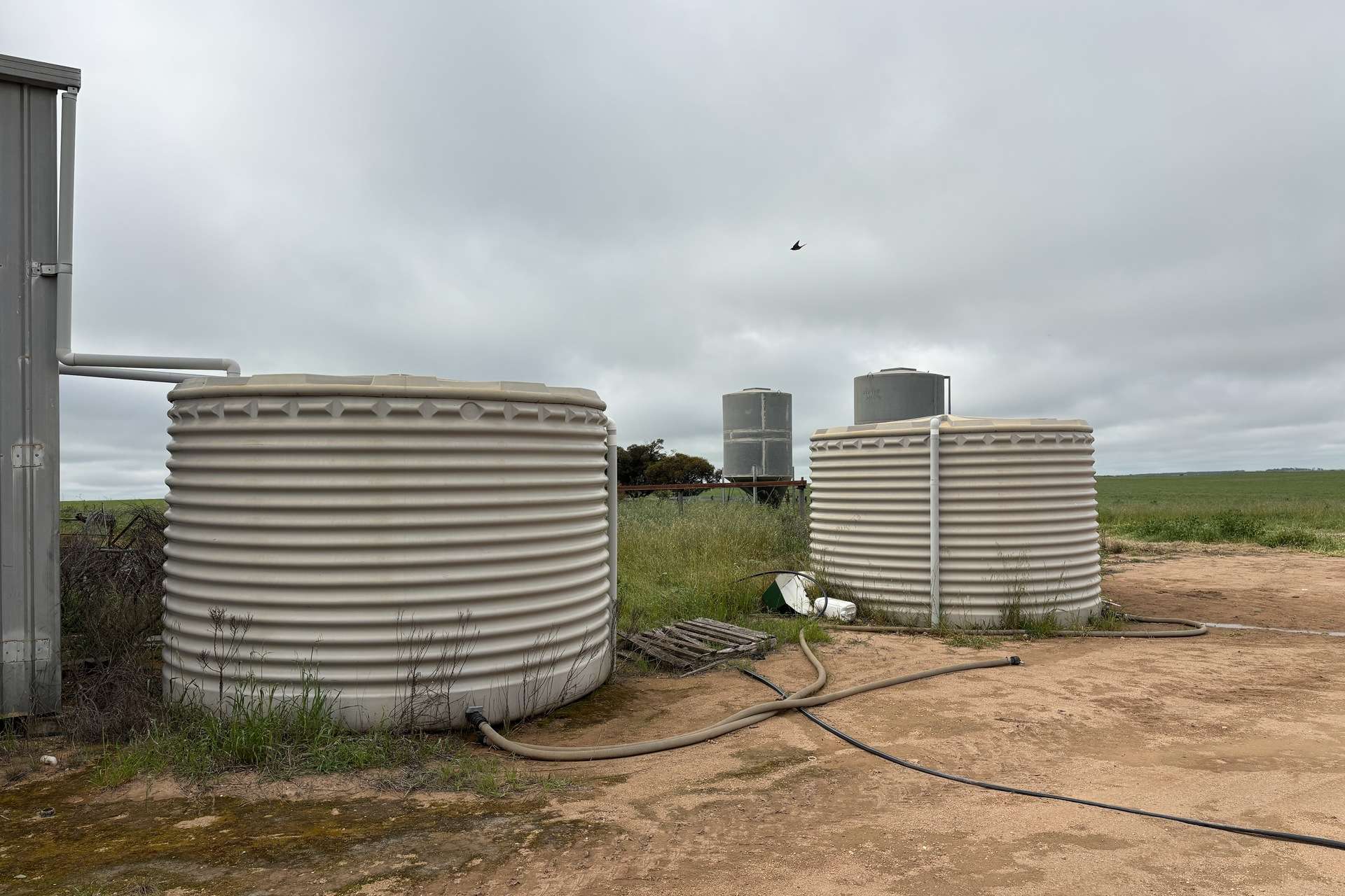 37981 Eyre Highway, Wirrulla For Sale by Farmbuy.com - image 16