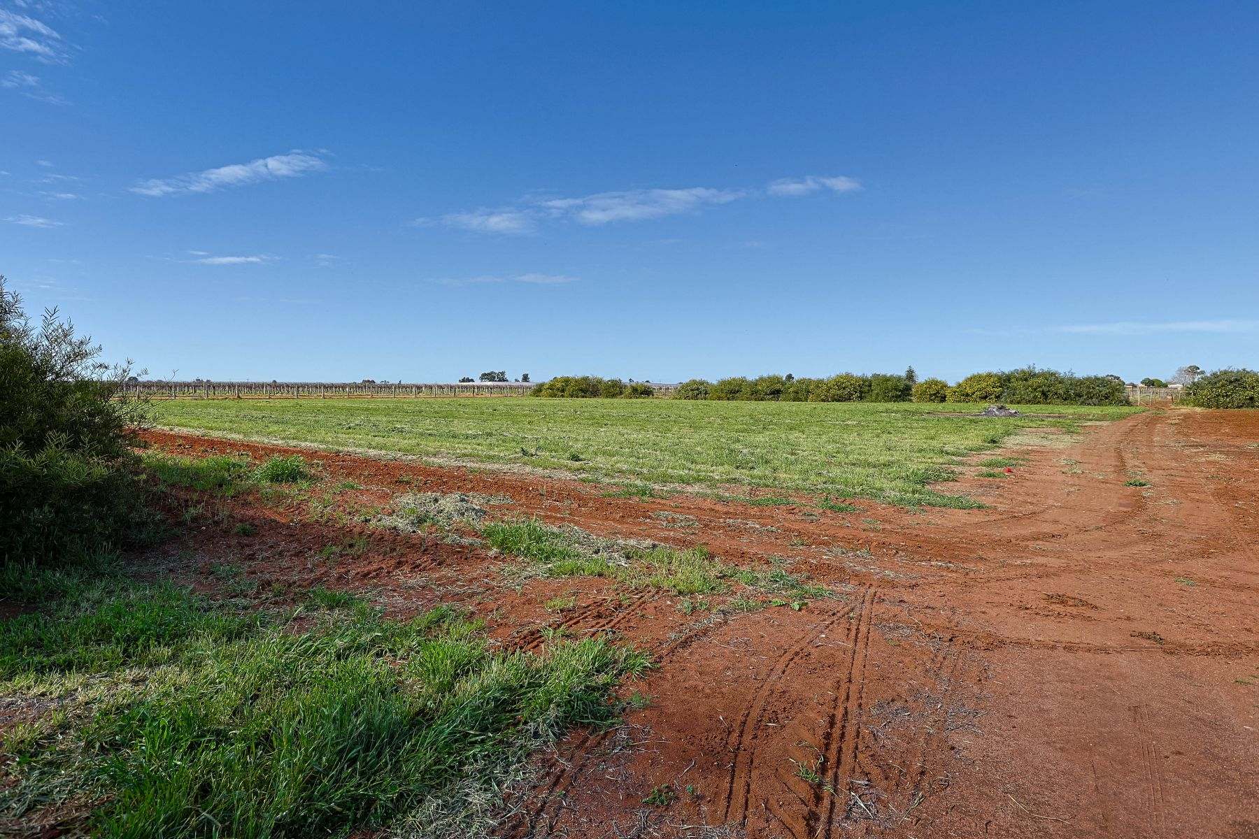 119 McKays Road, Birdwoodton For Sale by Farmbuy.com - image 25