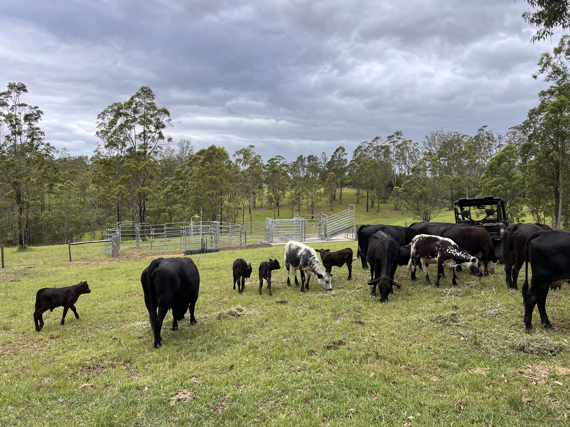 6892 Gwydir Highway, Cangai For Sale by Farmbuy.com - image 34