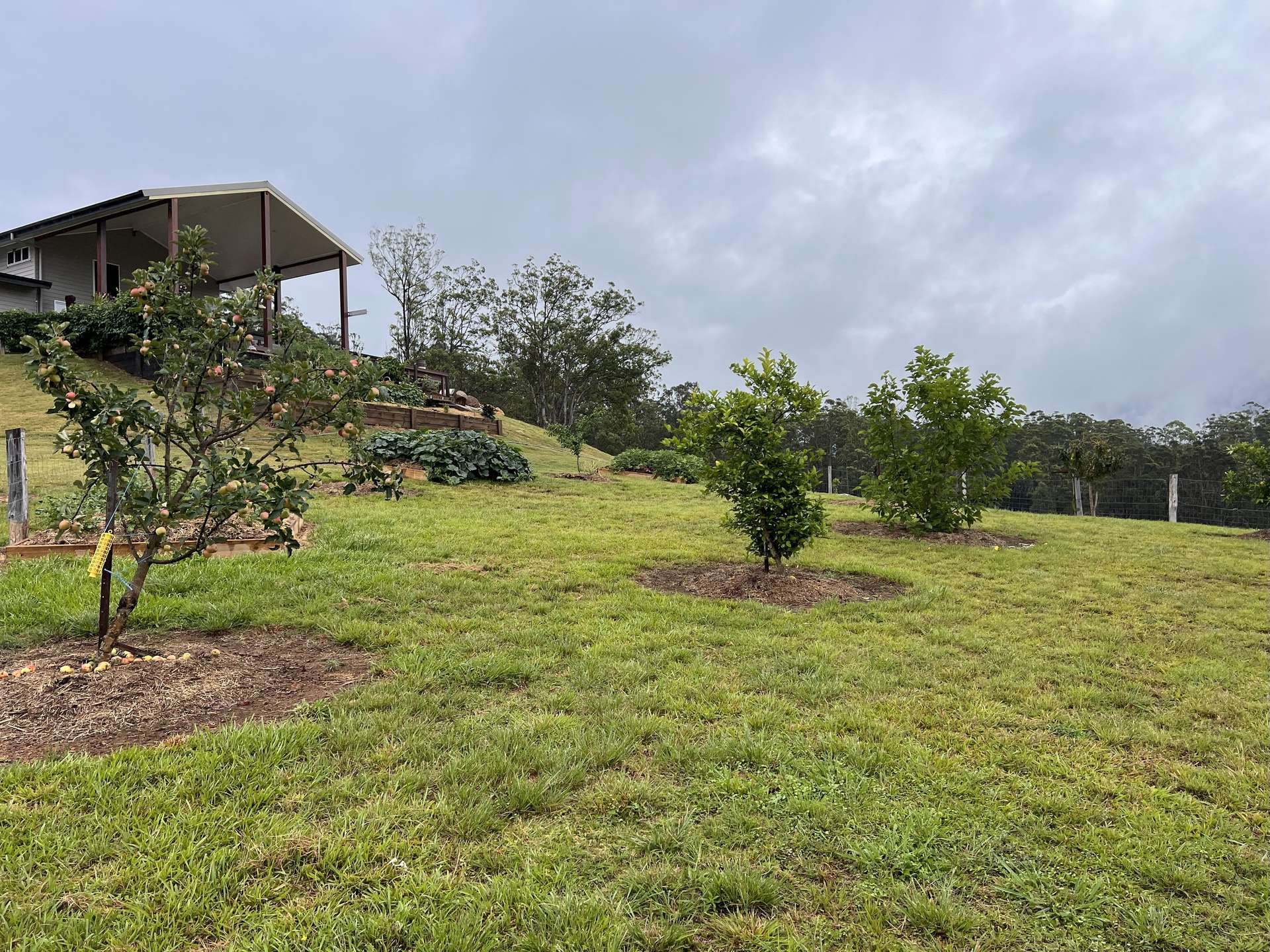 6892 Gwydir Highway, Cangai For Sale by Farmbuy.com - image 17