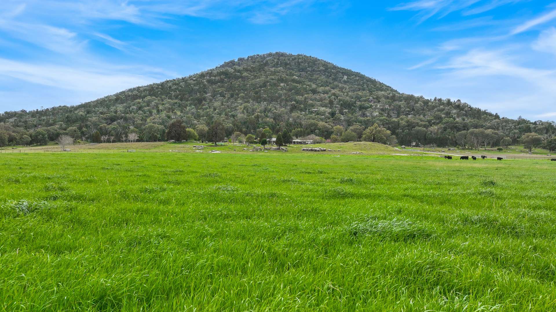 1519 Upper Moore Creek Road, Tamworth Auction by Farmbuy.com - image 21