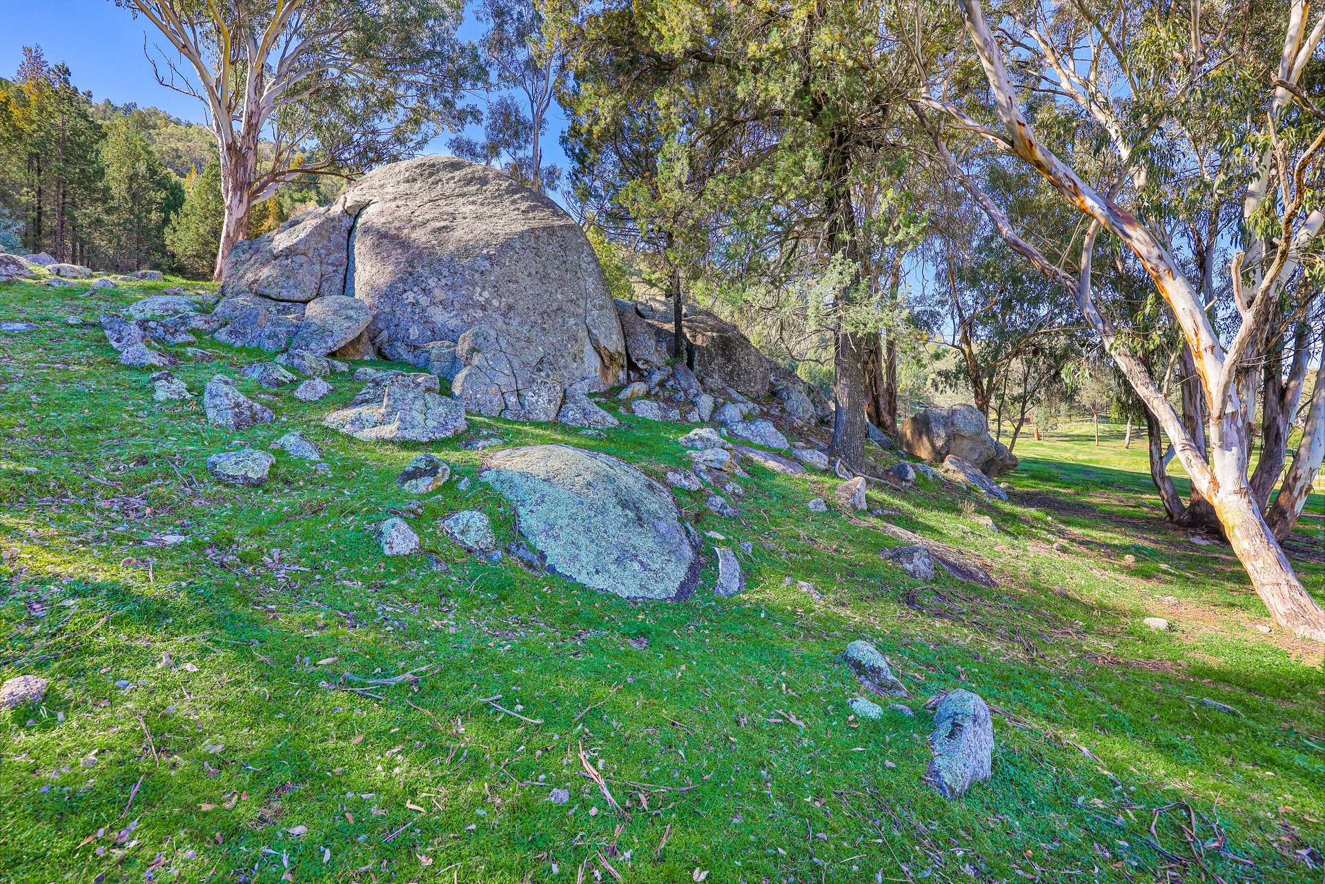 1519 Upper Moore Creek Road, Tamworth Auction by Farmbuy.com - image 25