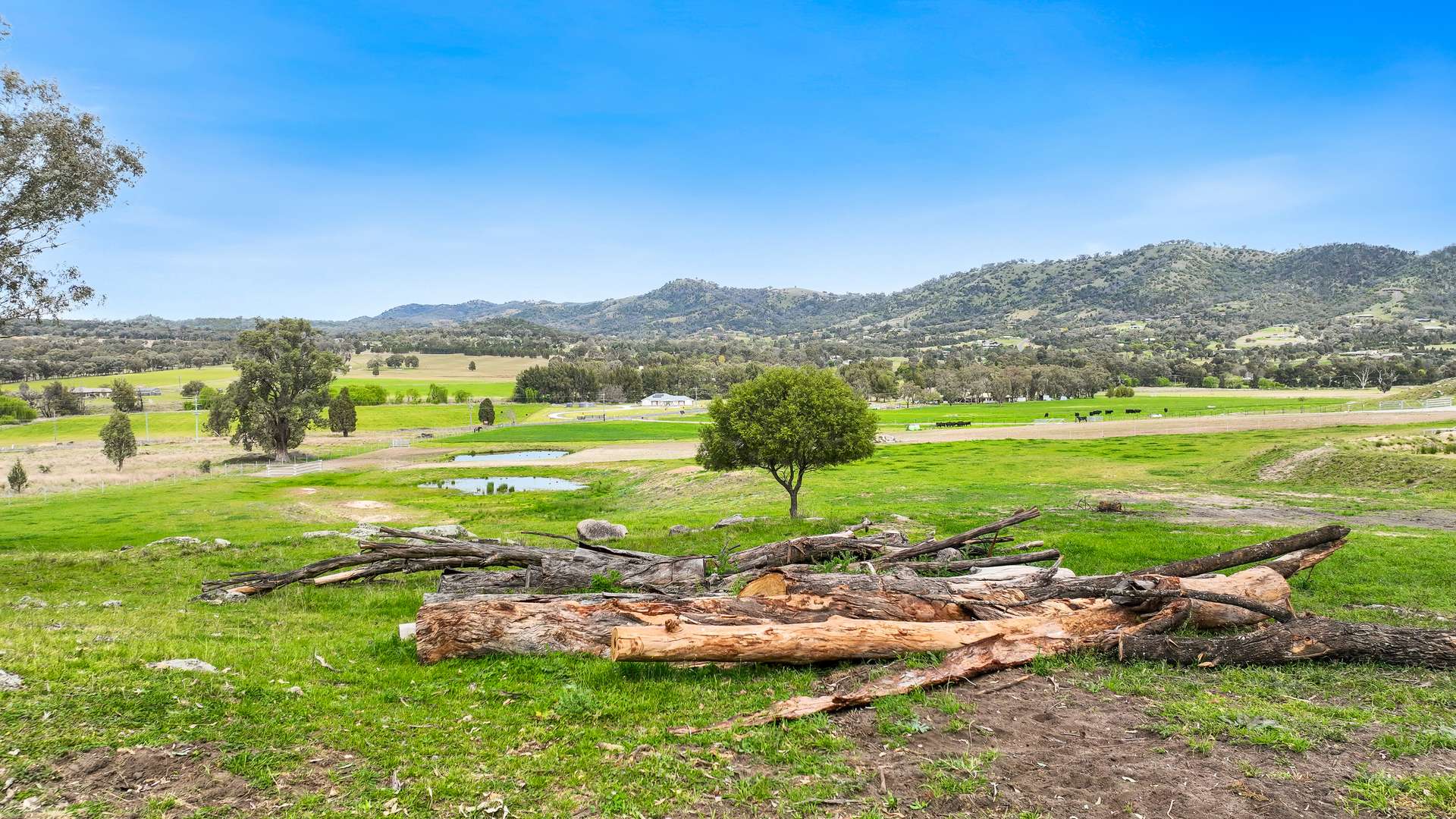 1519 Upper Moore Creek Road, Tamworth Auction by Farmbuy.com - image 9