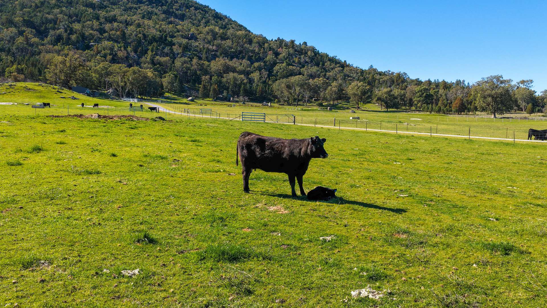 1519 Upper Moore Creek Road, Tamworth Auction by Farmbuy.com - image 20