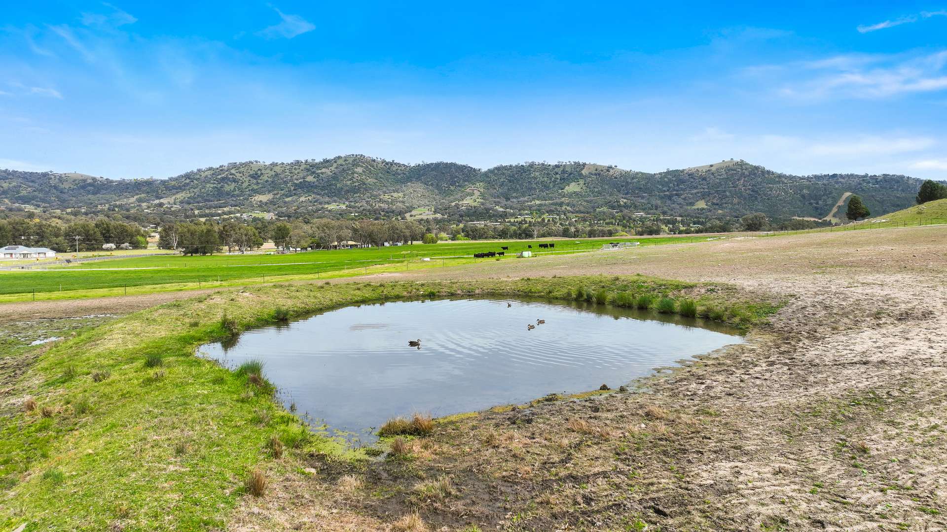 1519 Upper Moore Creek Road, Tamworth Auction by Farmbuy.com - image 19