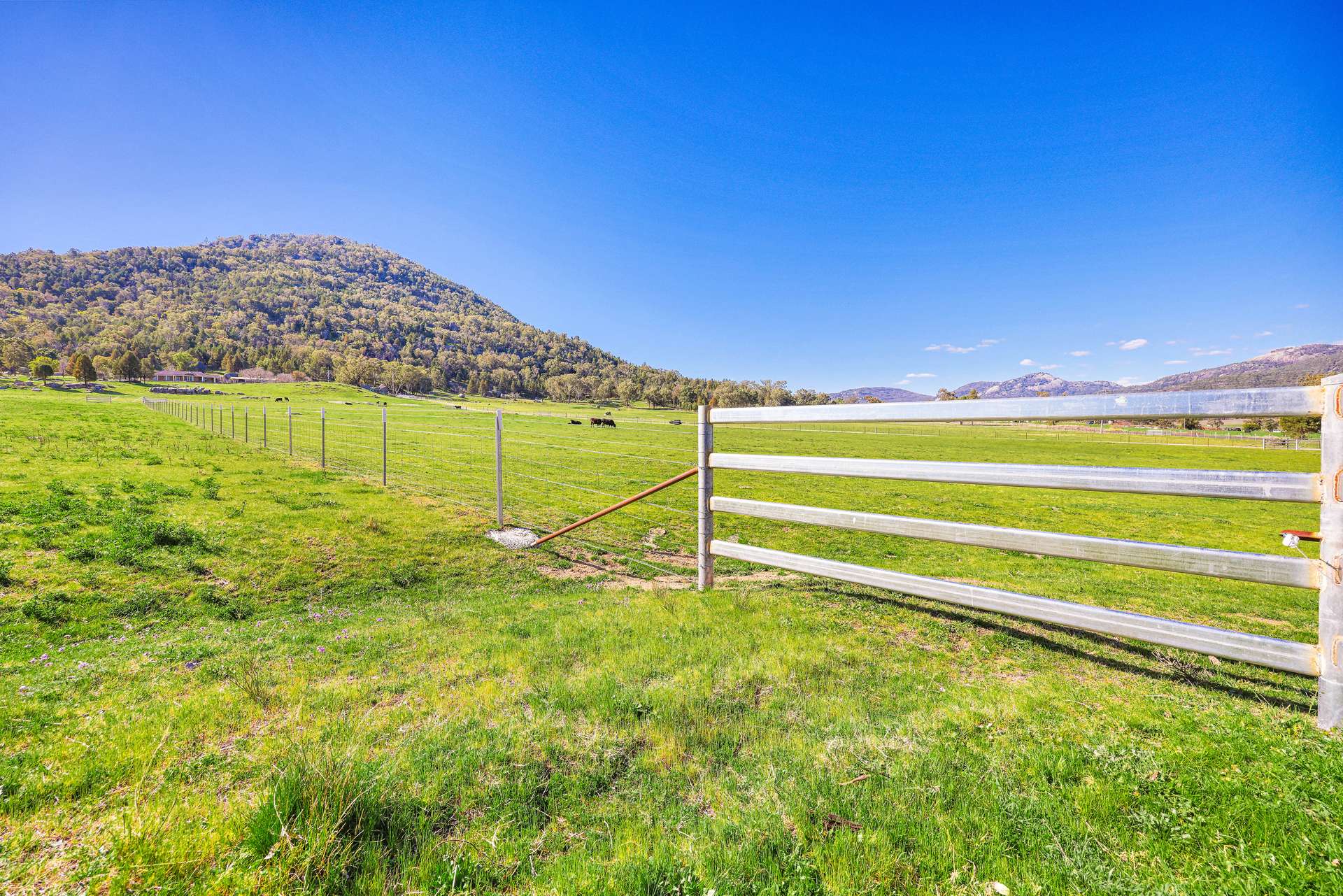 1519 Upper Moore Creek Road, Tamworth Auction by Farmbuy.com - image 26