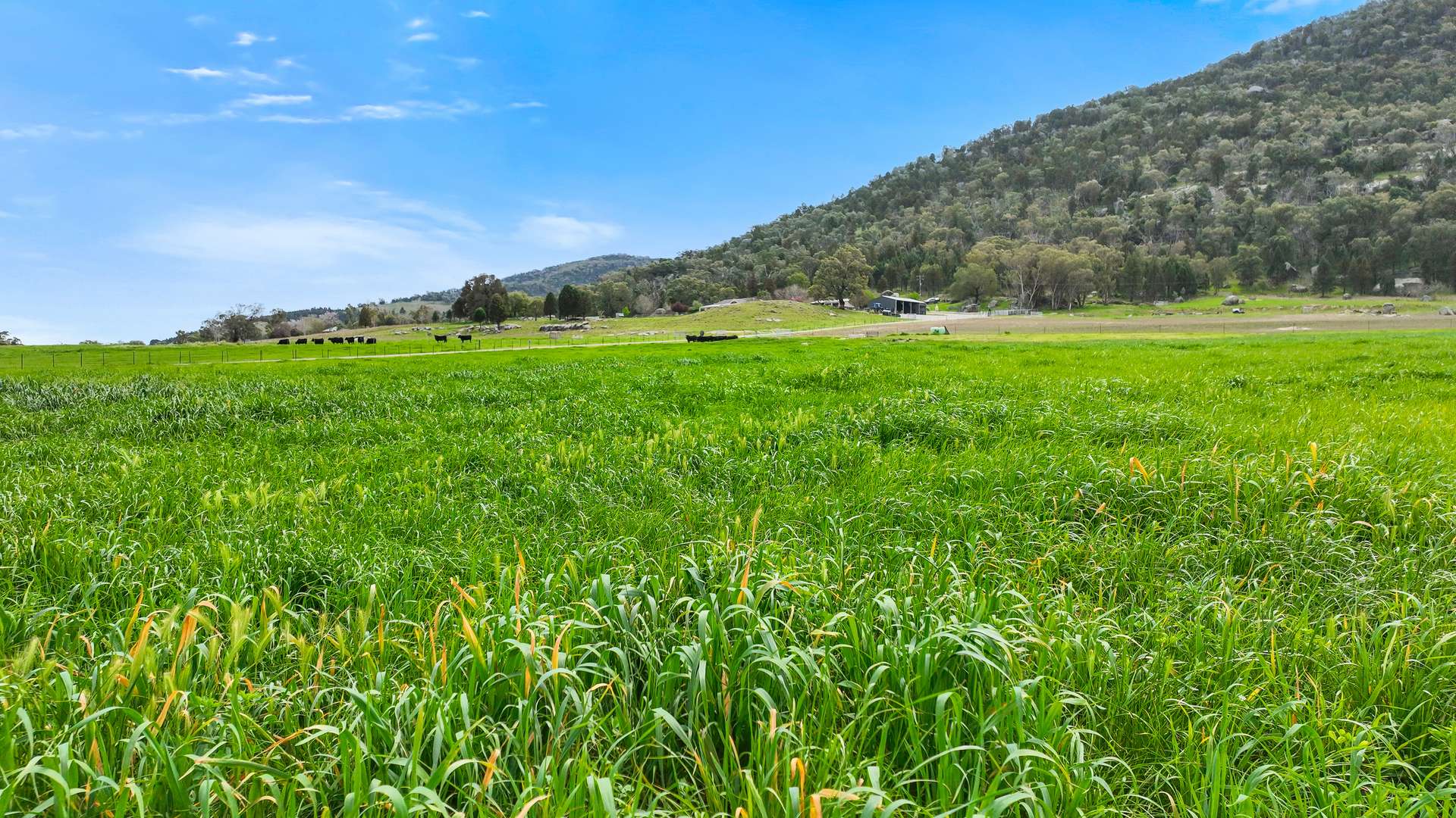 1519 Upper Moore Creek Road, Tamworth Auction by Farmbuy.com - image 22