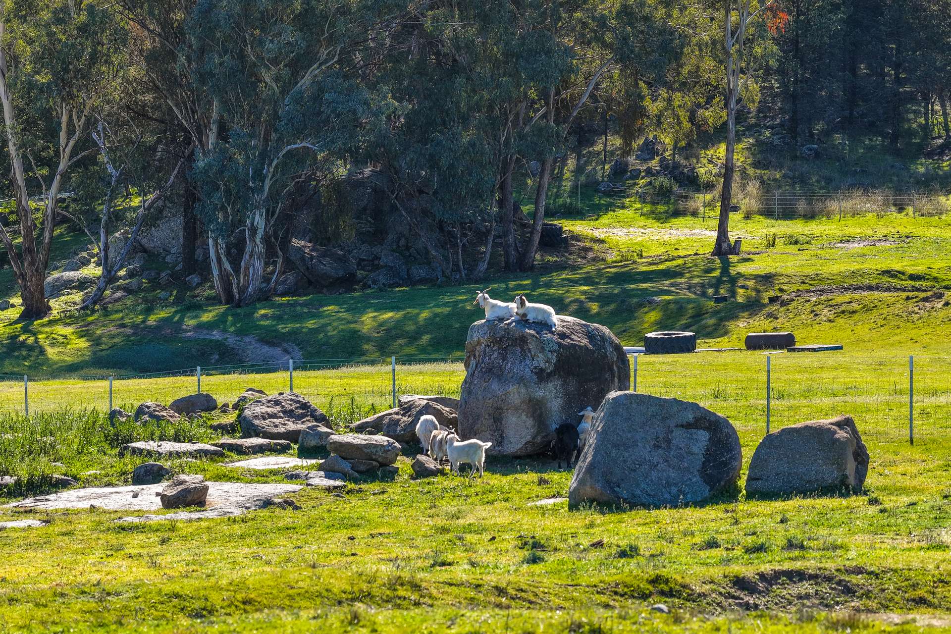 1519 Upper Moore Creek Road, Tamworth Auction by Farmbuy.com - image 23
