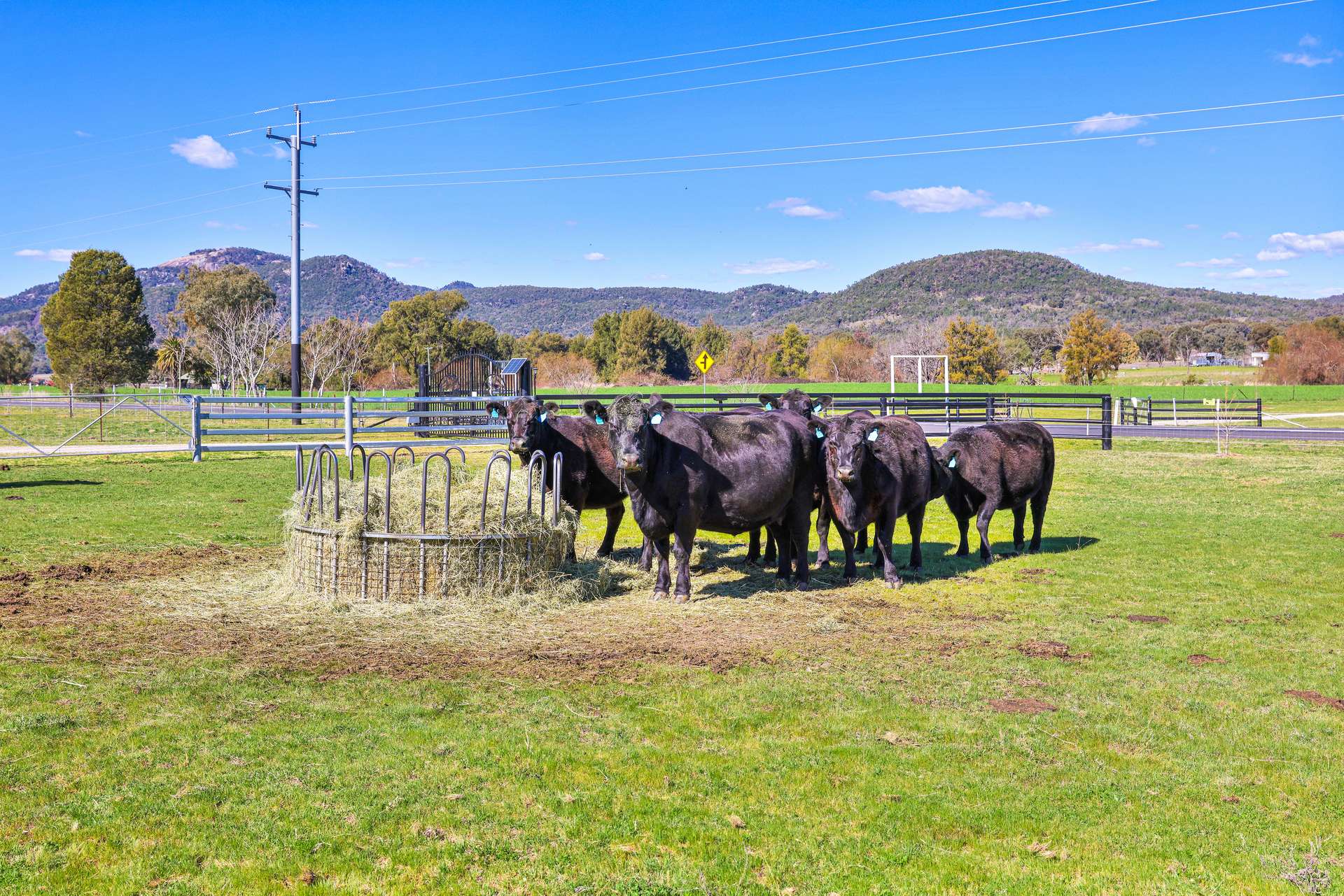 1519 Upper Moore Creek Road, Tamworth Auction by Farmbuy.com - image 19