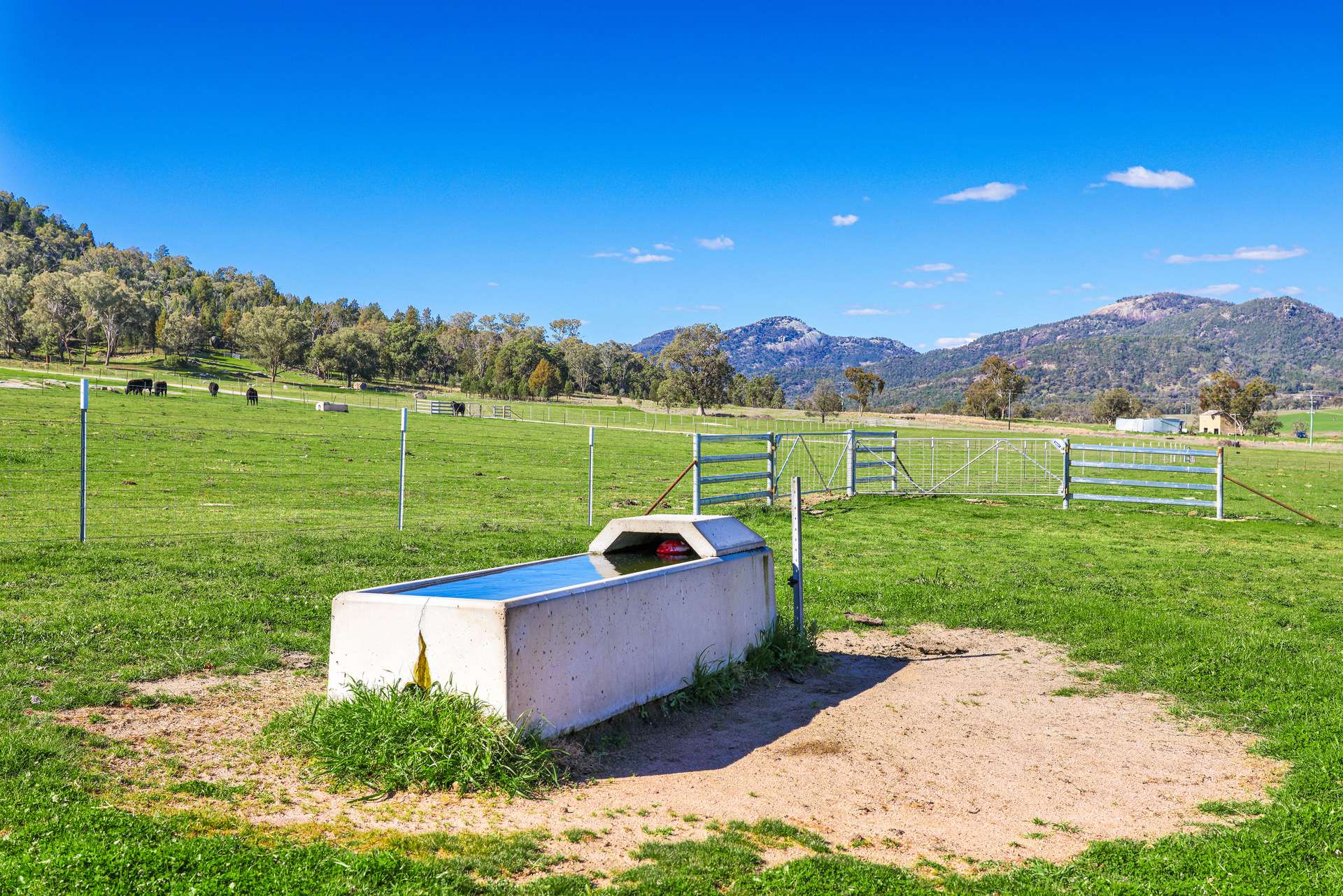 1519 Upper Moore Creek Road, Tamworth Auction by Farmbuy.com - image 20