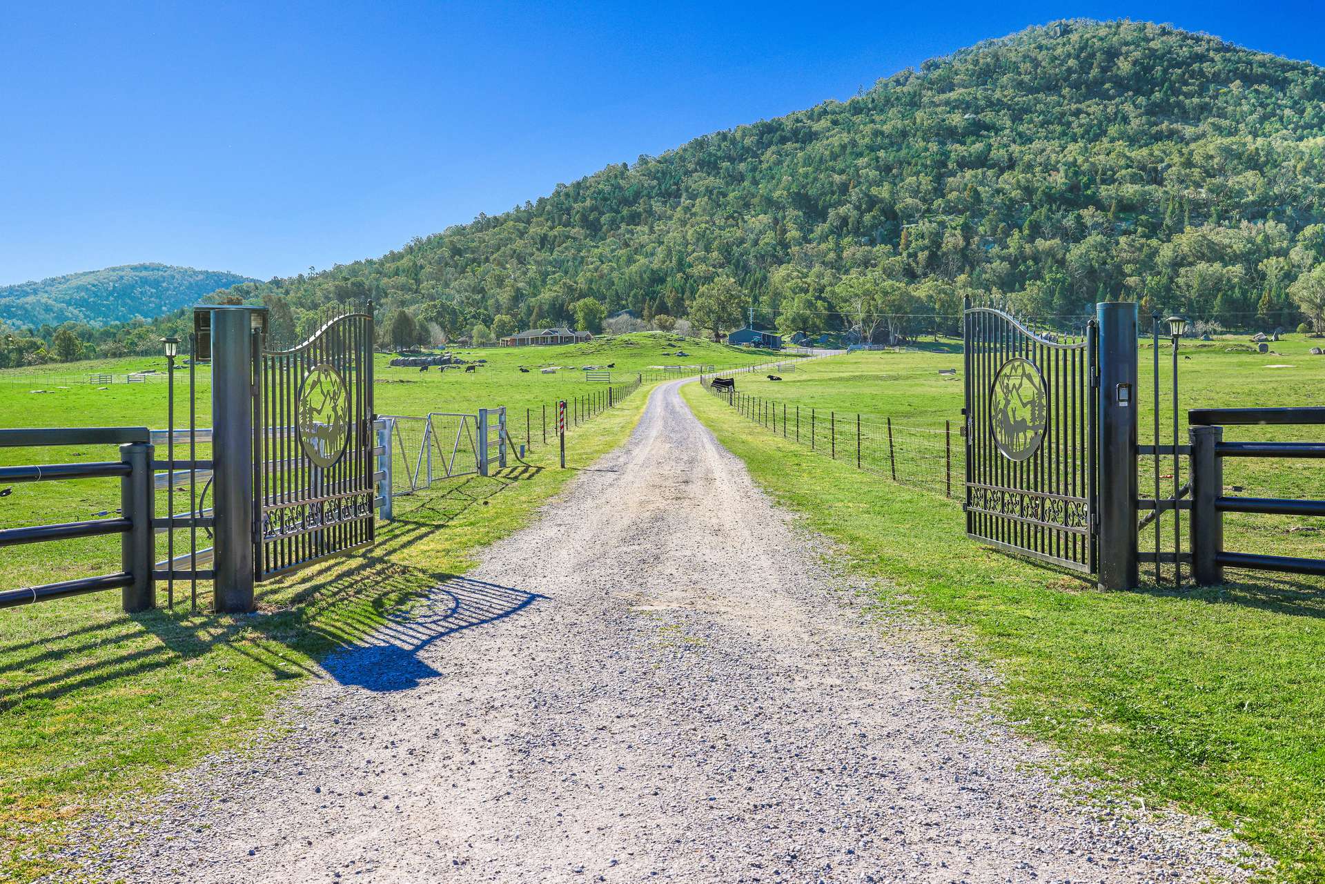 1519 Upper Moore Creek Road, Tamworth Auction by Farmbuy.com - image 27