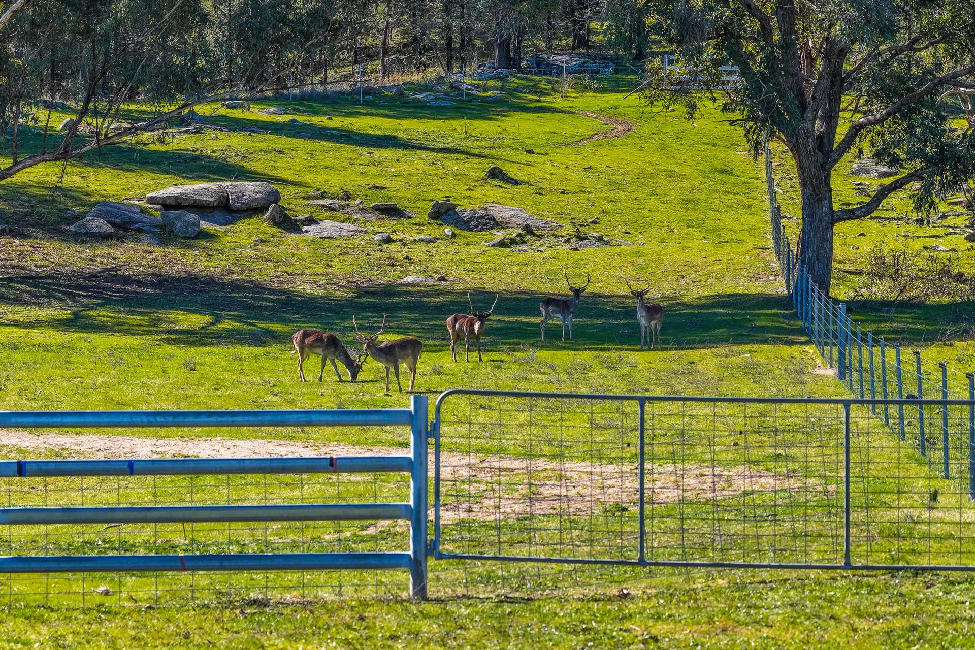 1519 Upper Moore Creek Road, Tamworth Auction by Farmbuy.com - image 17
