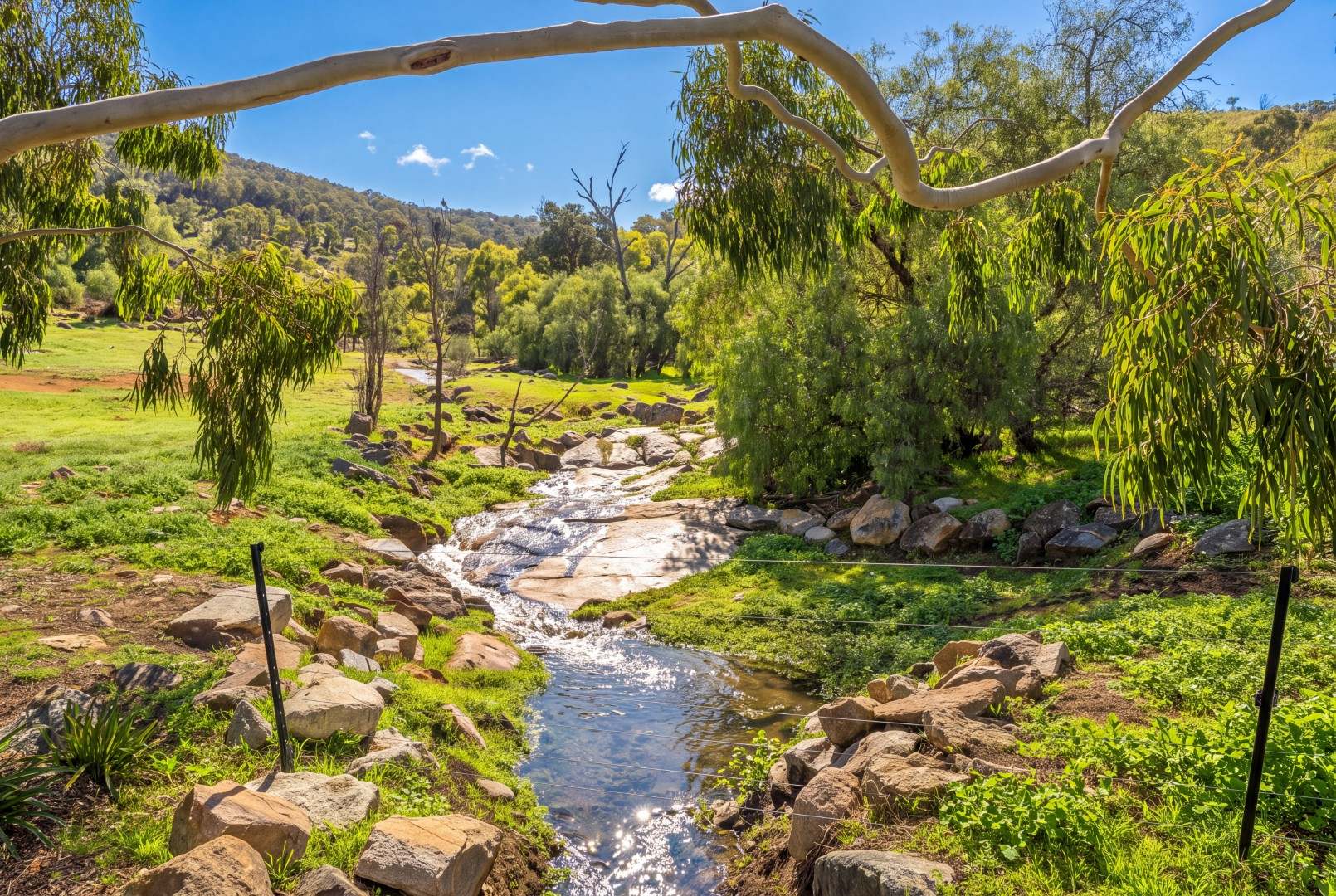 773 Boho Church Road, Boho For Sale by Farmbuy.com - image 5