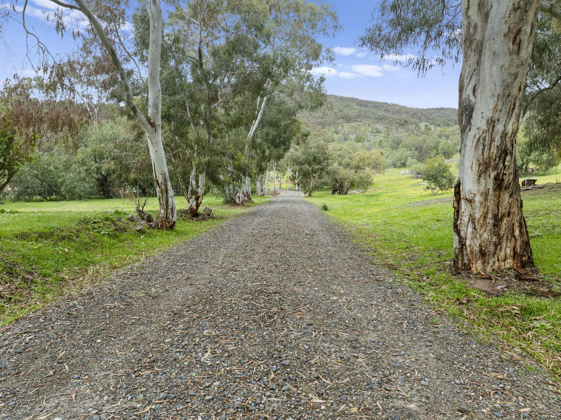 773 Boho Church Road, Boho For Sale by Farmbuy.com - image 3