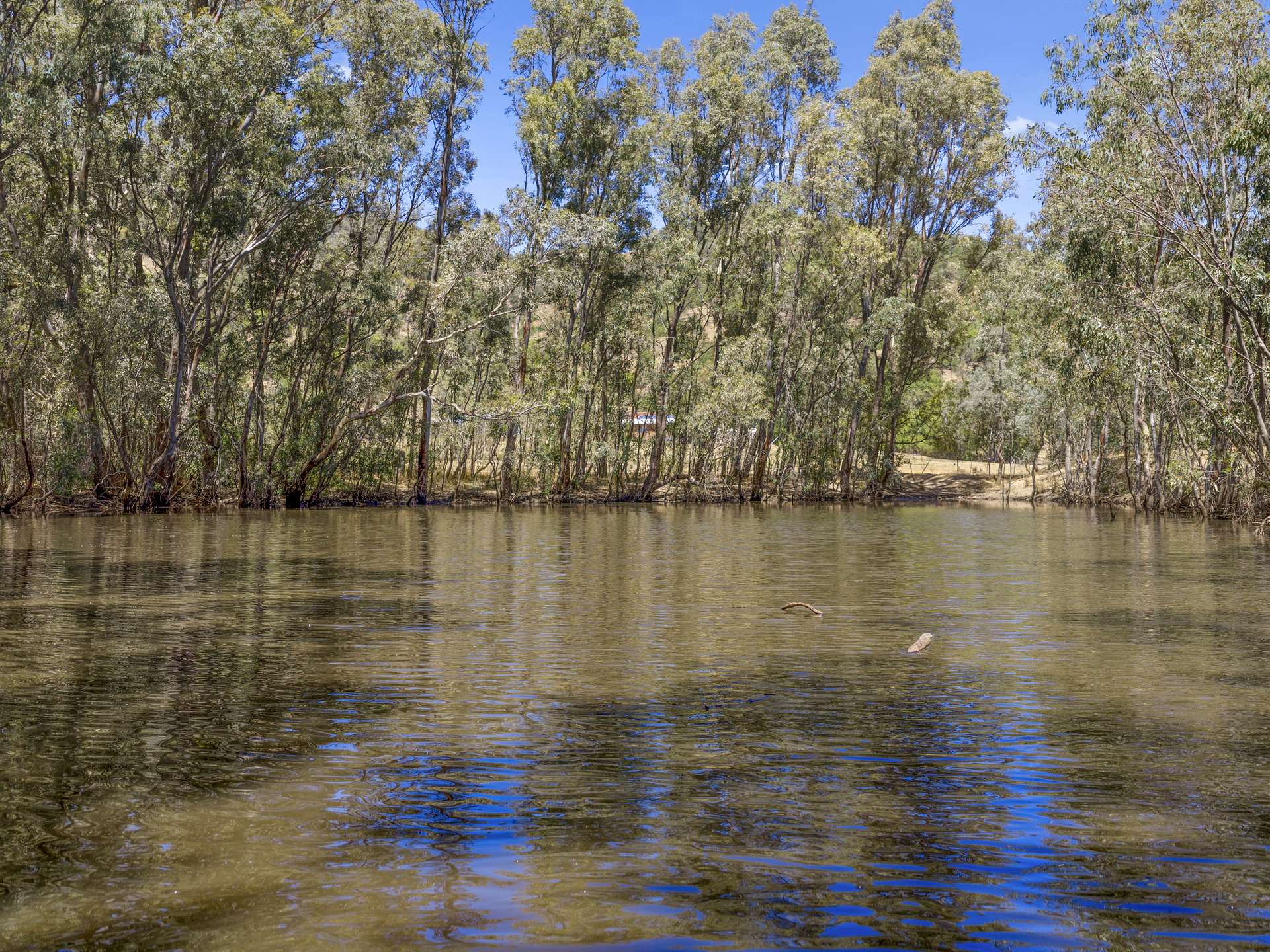 773 Boho Church Road, Boho For Sale by Farmbuy.com - image 27