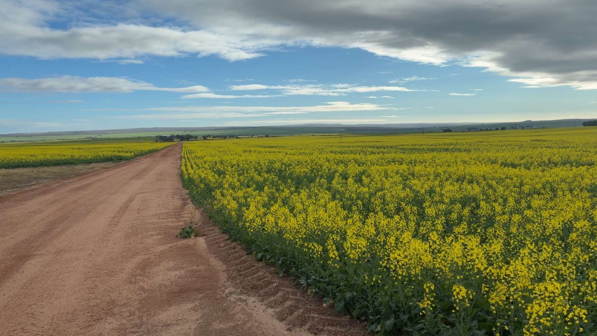 558 Skipper Road, Arrowsmith East For Sale by Farmbuy.com - image 15