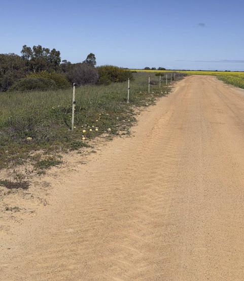 558 Skipper Road, Arrowsmith East For Sale by Farmbuy.com - image 23