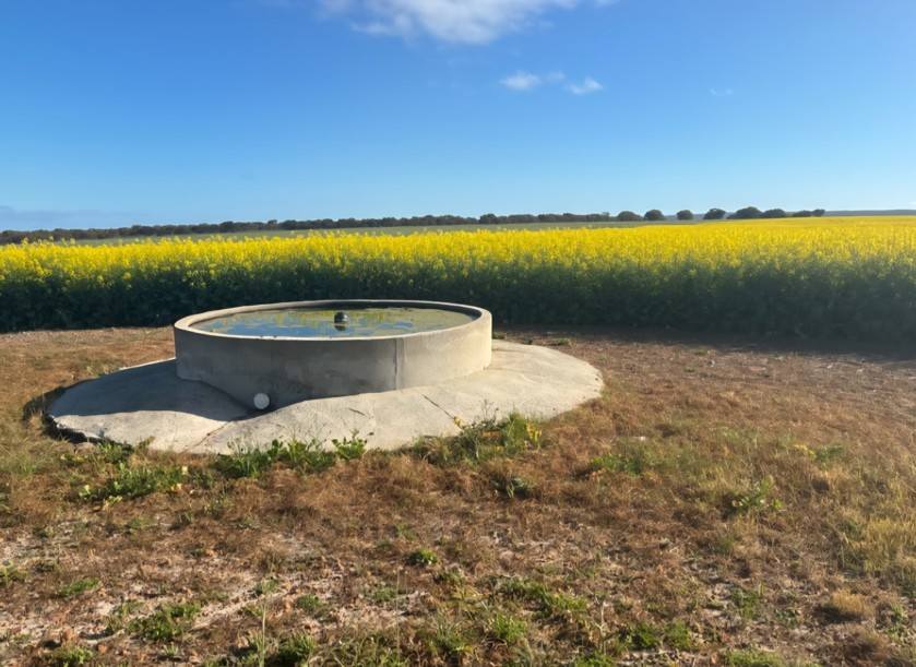 558 Skipper Road, Arrowsmith East For Sale by Farmbuy.com - image 29