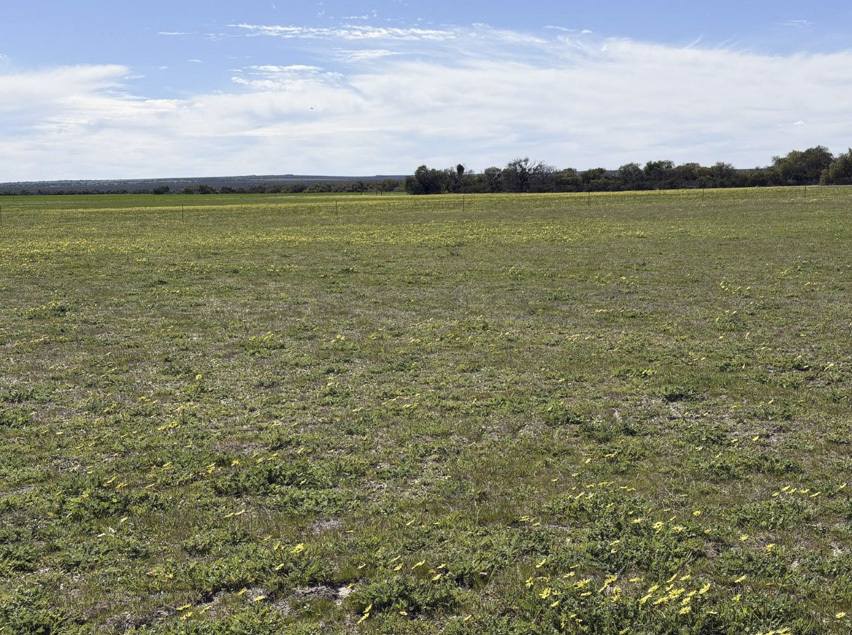 558 Skipper Road, Arrowsmith East For Sale by Farmbuy.com - image 22