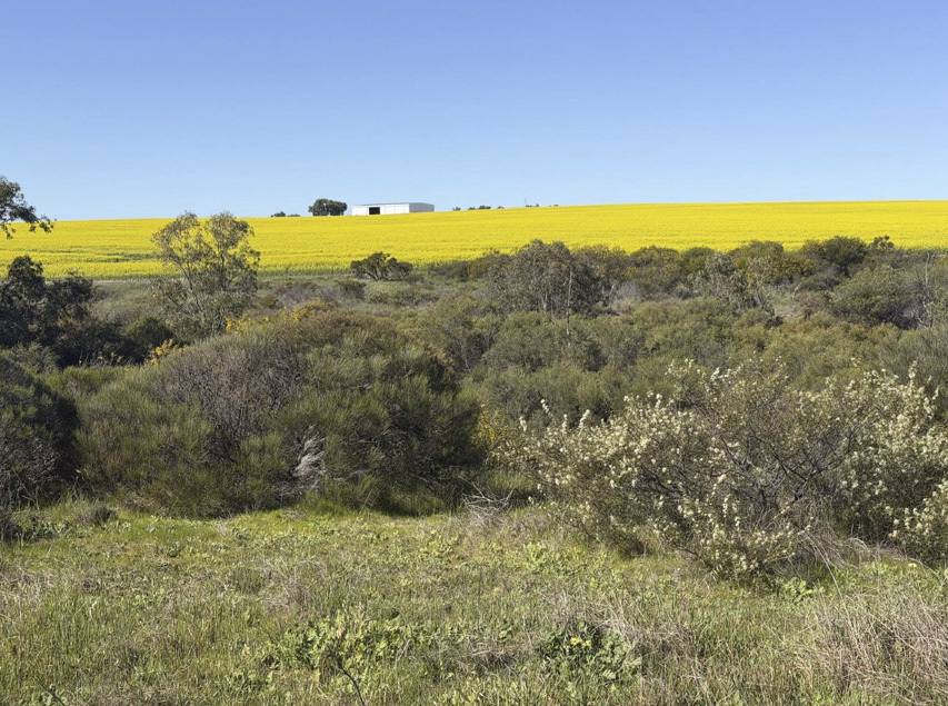558 Skipper Road, Arrowsmith East For Sale by Farmbuy.com - image 25