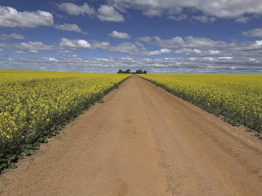 558 Skipper Road, Arrowsmith East For Sale by Farmbuy.com - image 4
