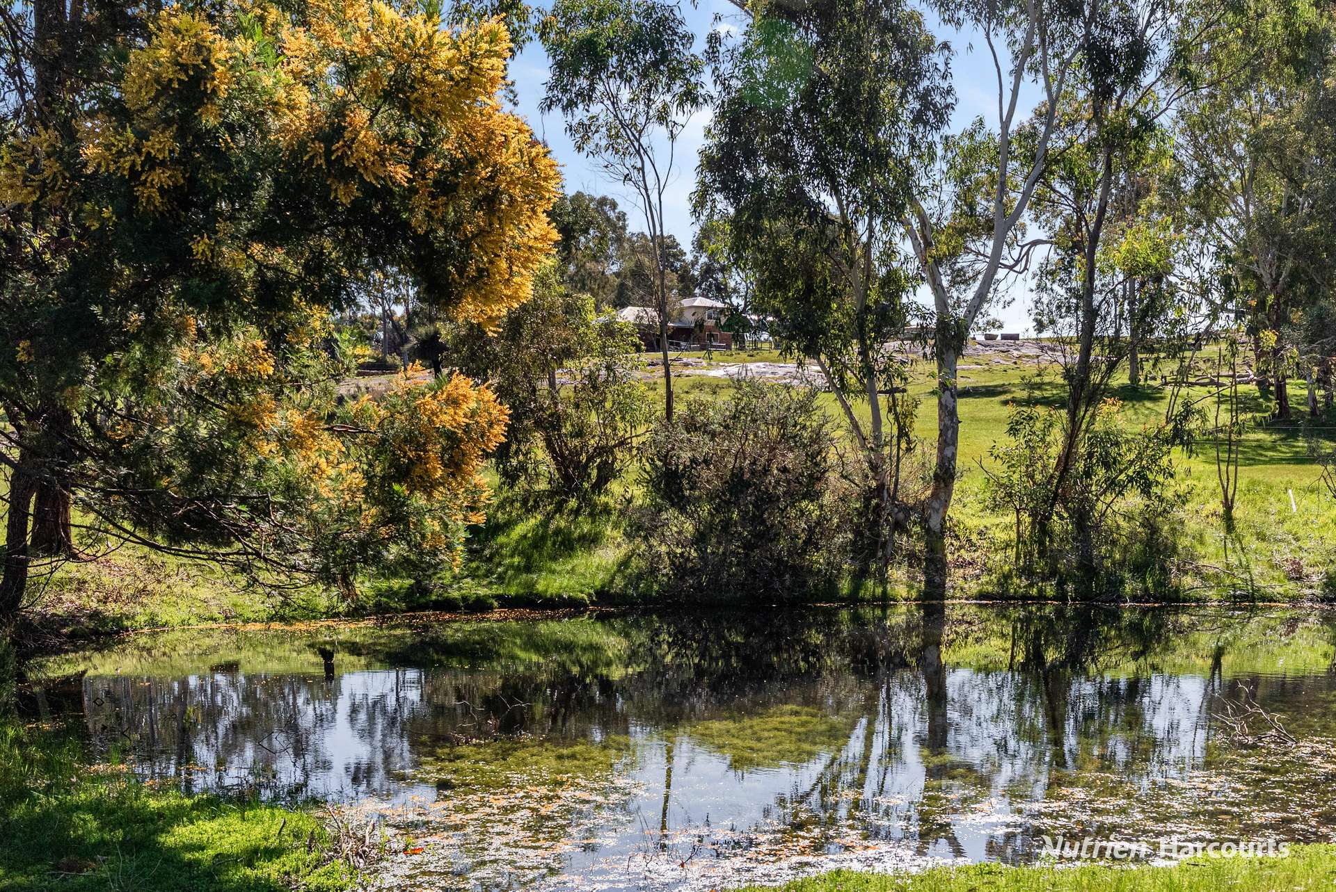 Karragullen For Sale by Farmbuy.com - image 32