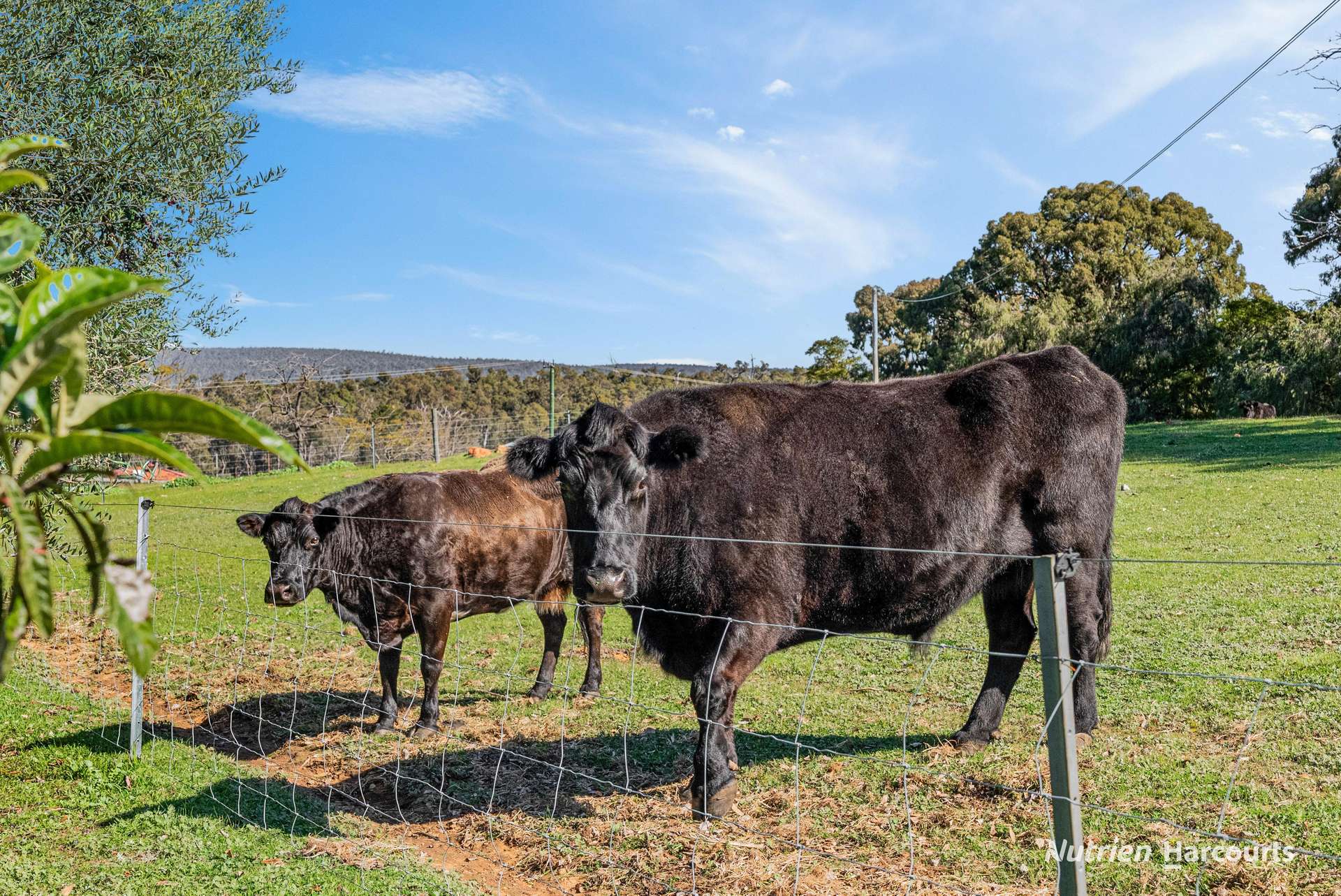 Karragullen For Sale by Farmbuy.com - image 30
