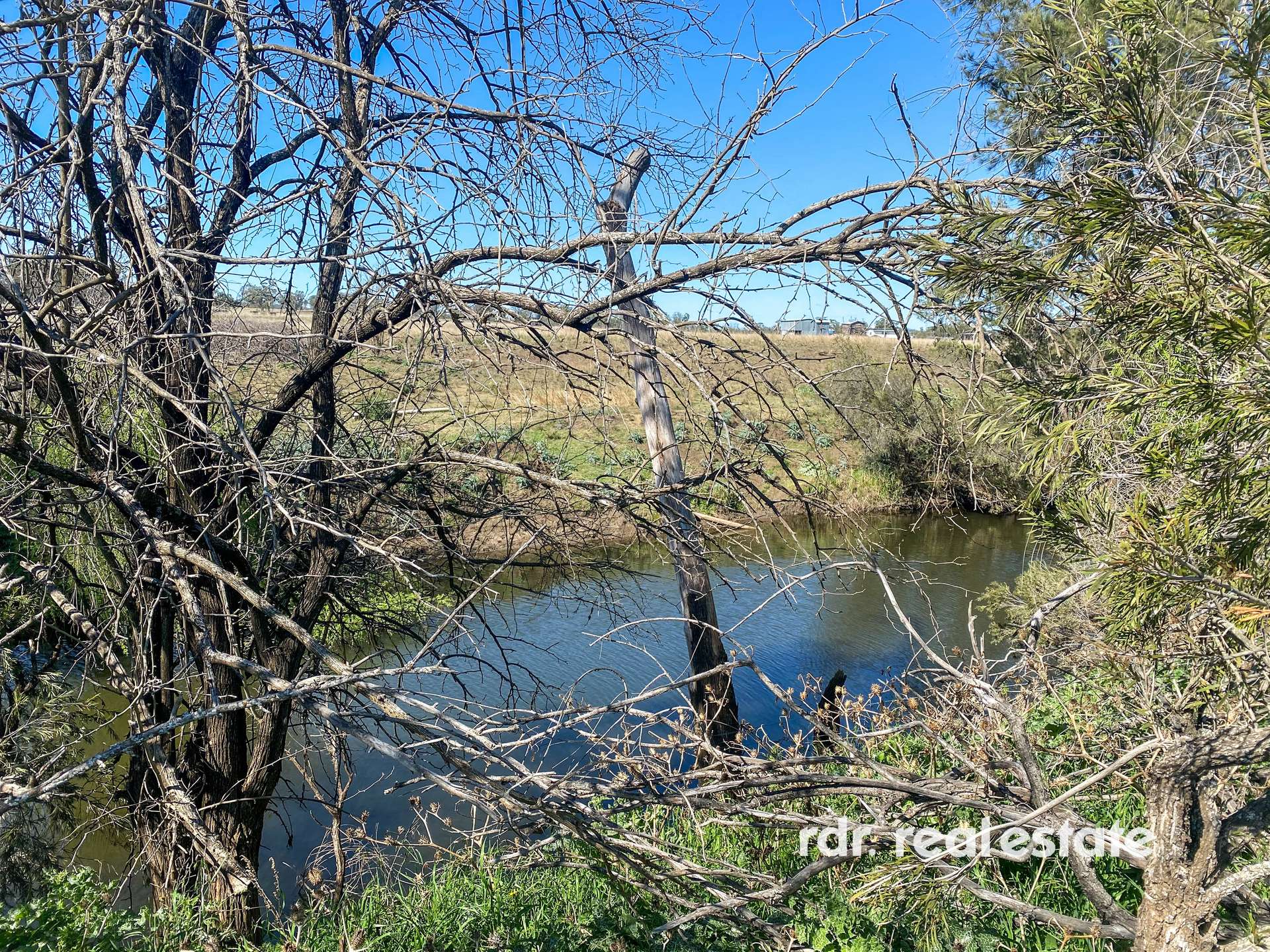 1223 Karoola Road, GRAMAN, Inverell For Sale by Farmbuy.com - image 18