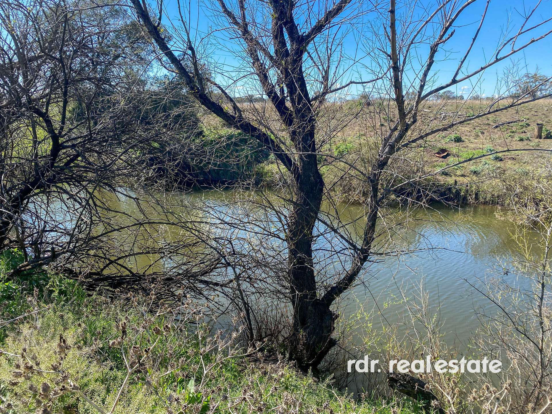 1223 Karoola Road, GRAMAN, Inverell For Sale by Farmbuy.com - image 8